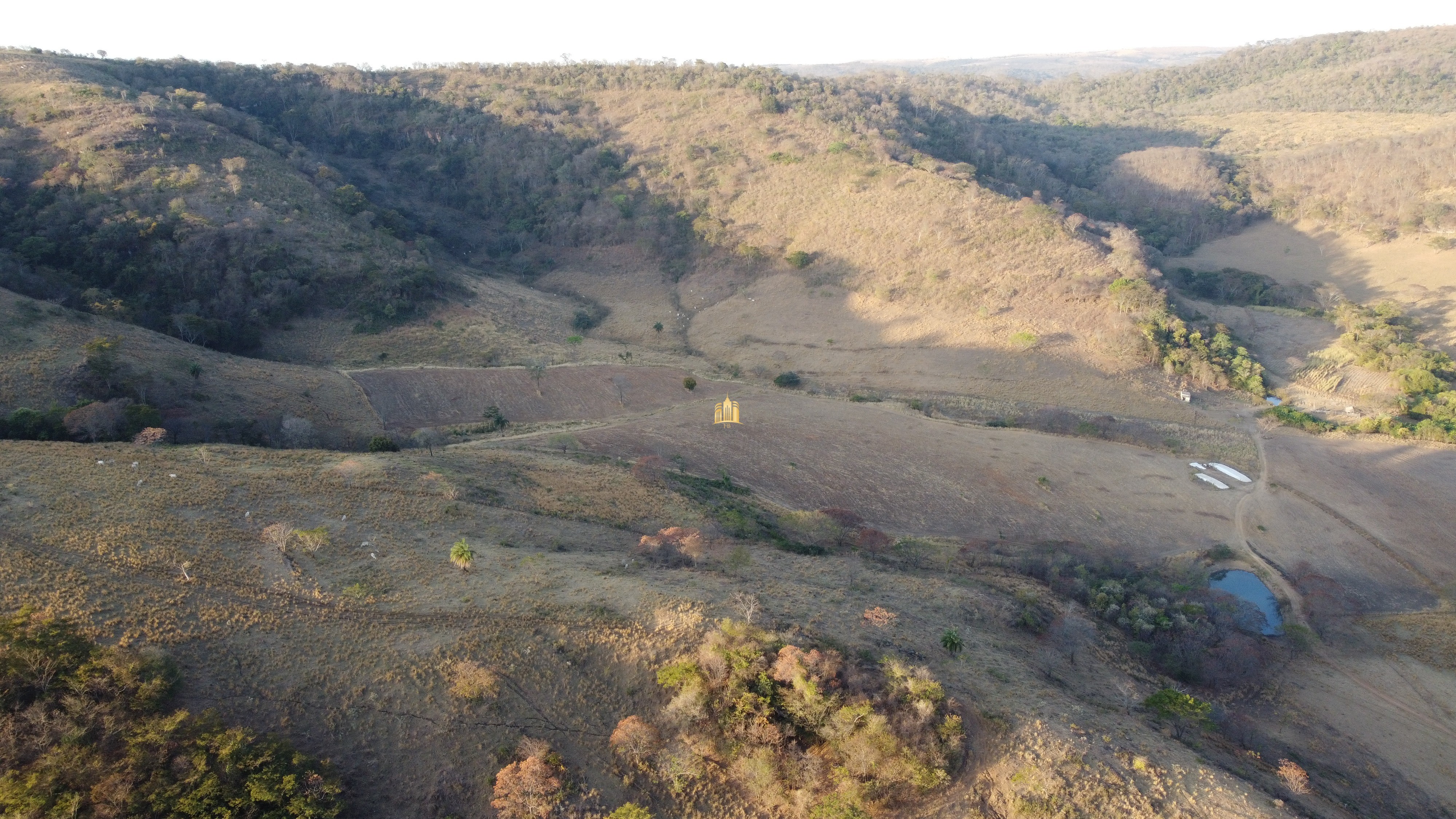 Fazenda à venda com 1 quarto, 400000m² - Foto 14