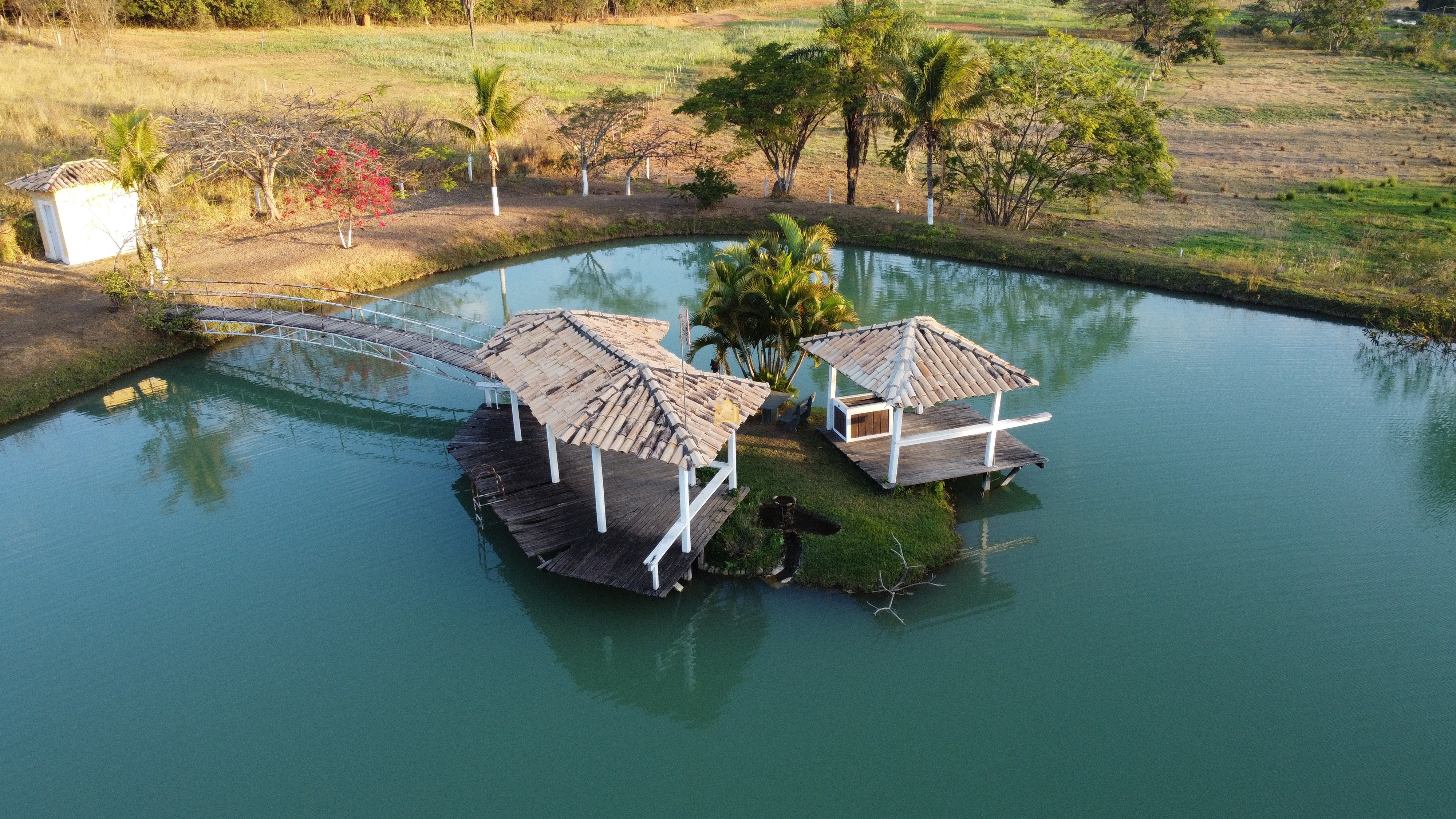 Fazenda à venda com 2 quartos, 131916m² - Foto 1