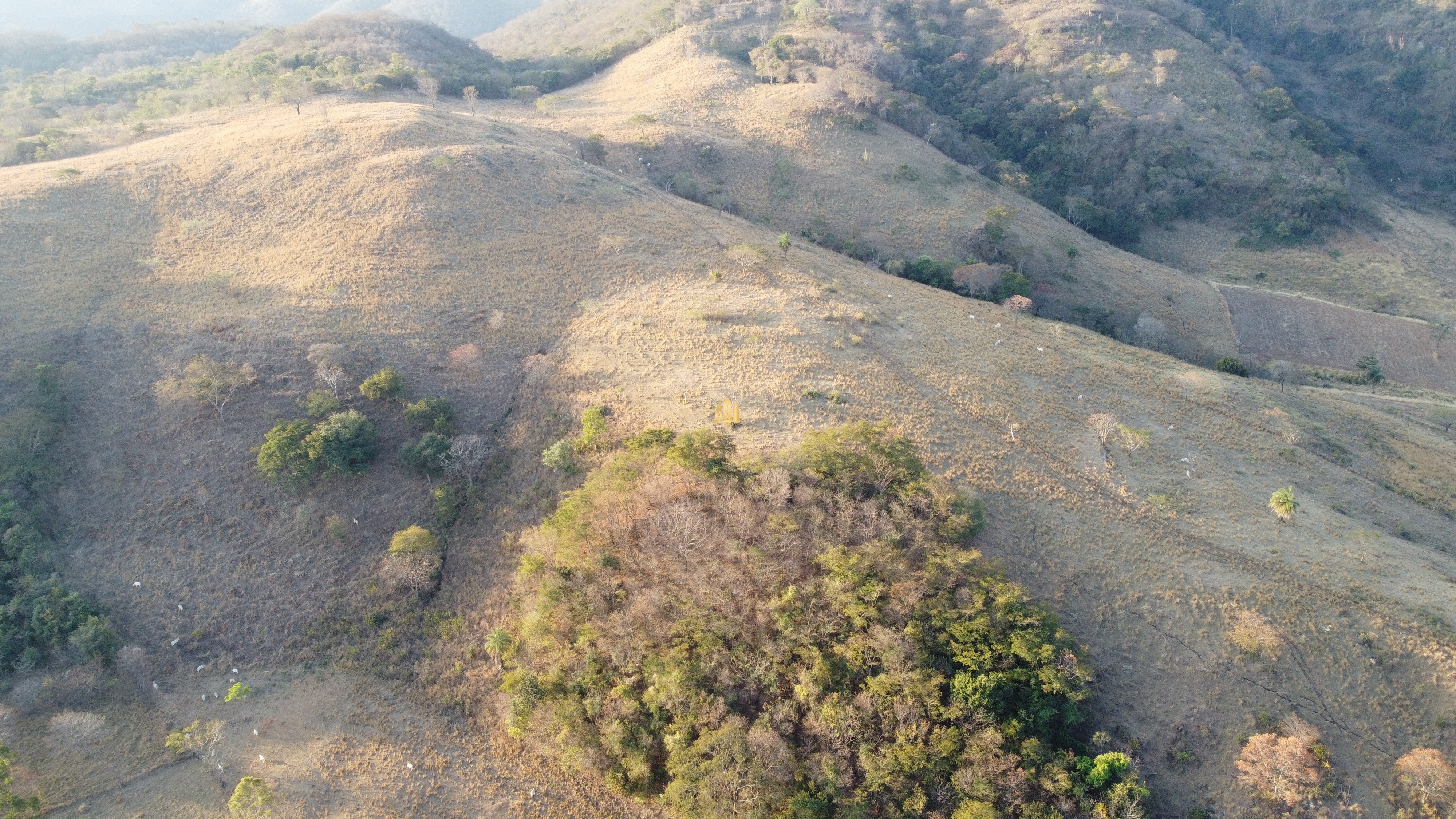 Fazenda à venda com 1 quarto, 400000m² - Foto 13