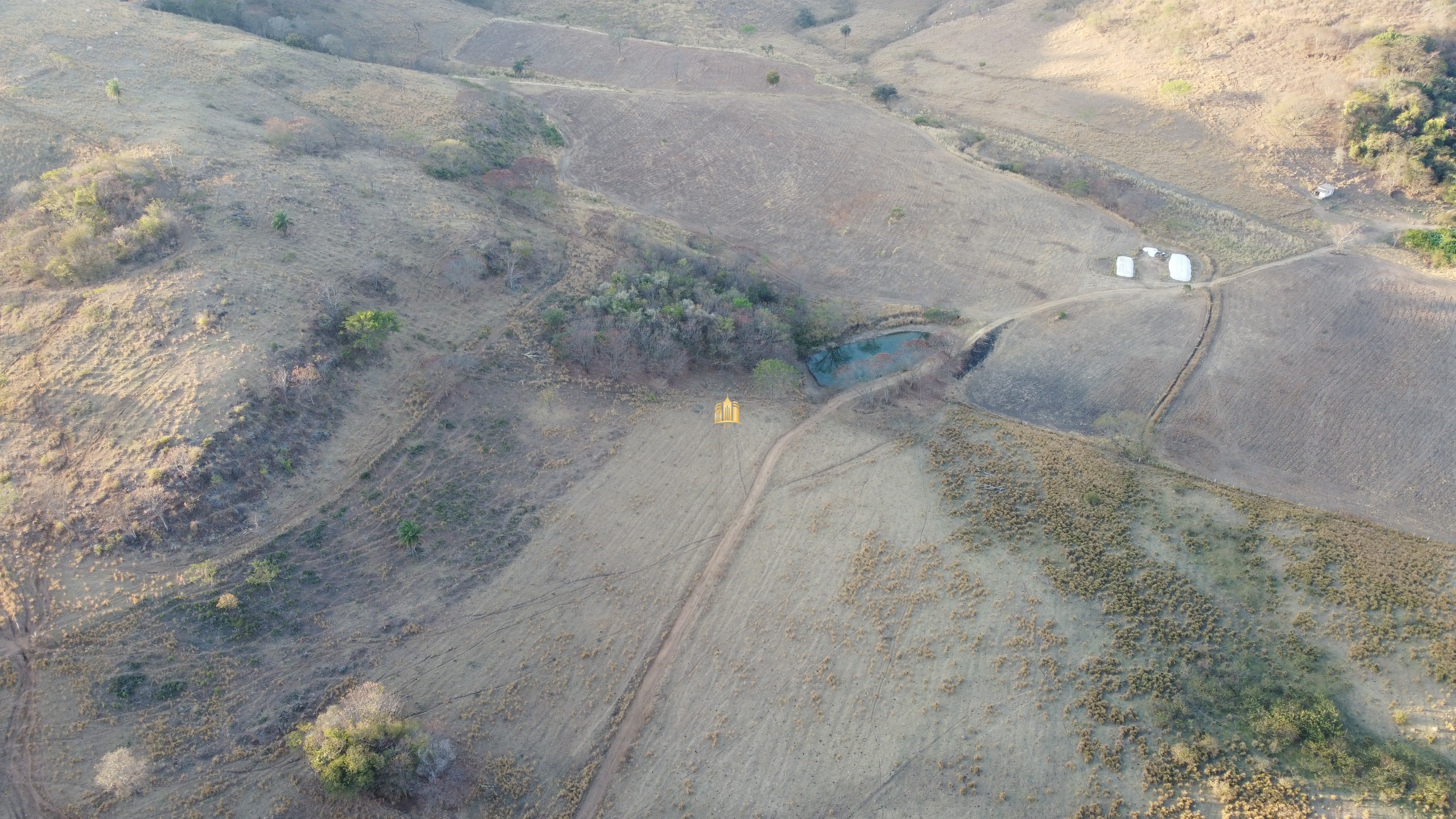 Fazenda à venda com 1 quarto, 400000m² - Foto 12