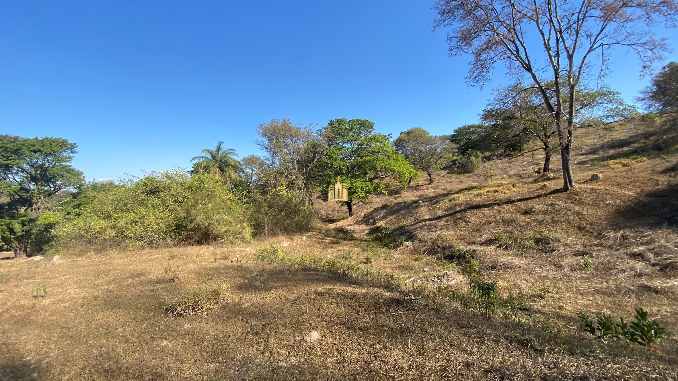 Fazenda à venda com 7 quartos, 710000m² - Foto 36