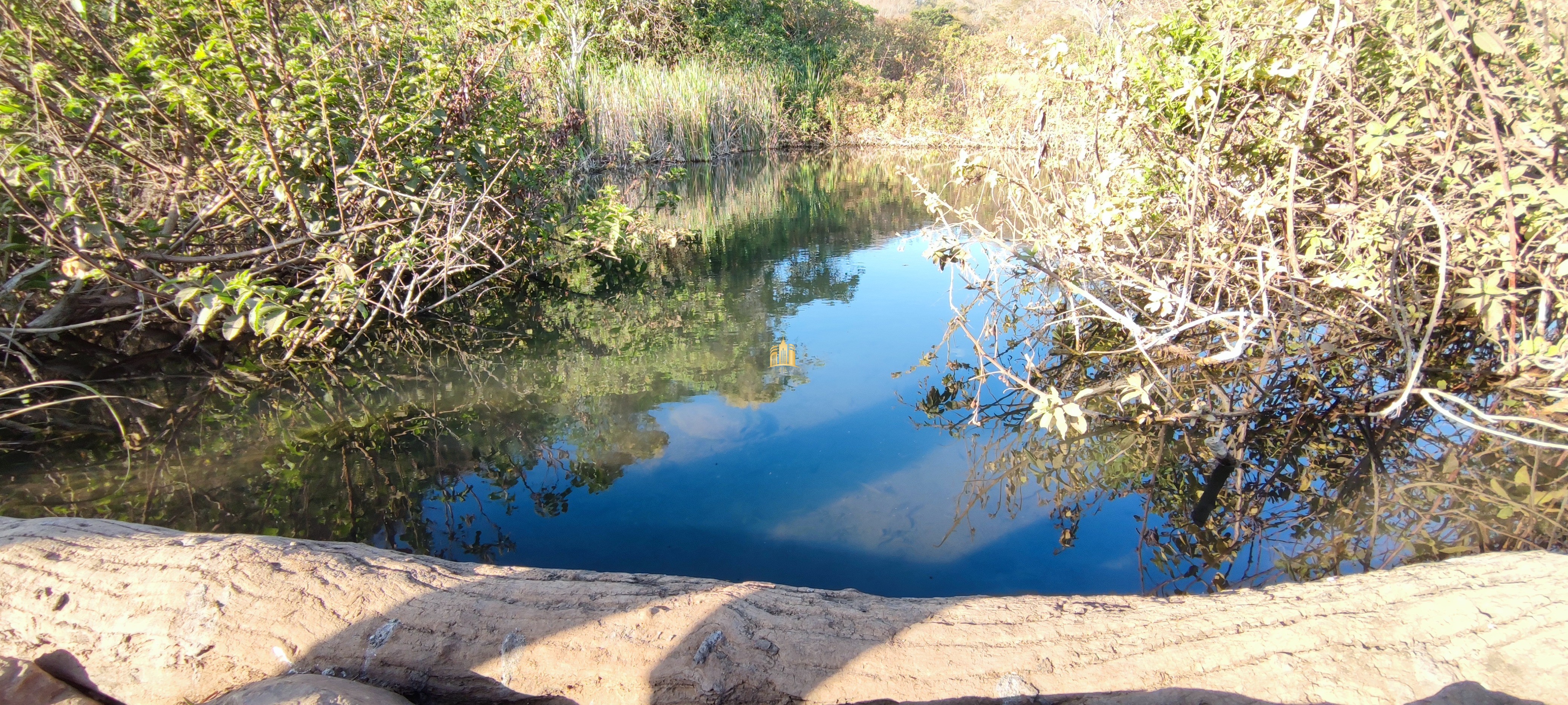 Fazenda à venda com 1 quarto, 400000m² - Foto 24