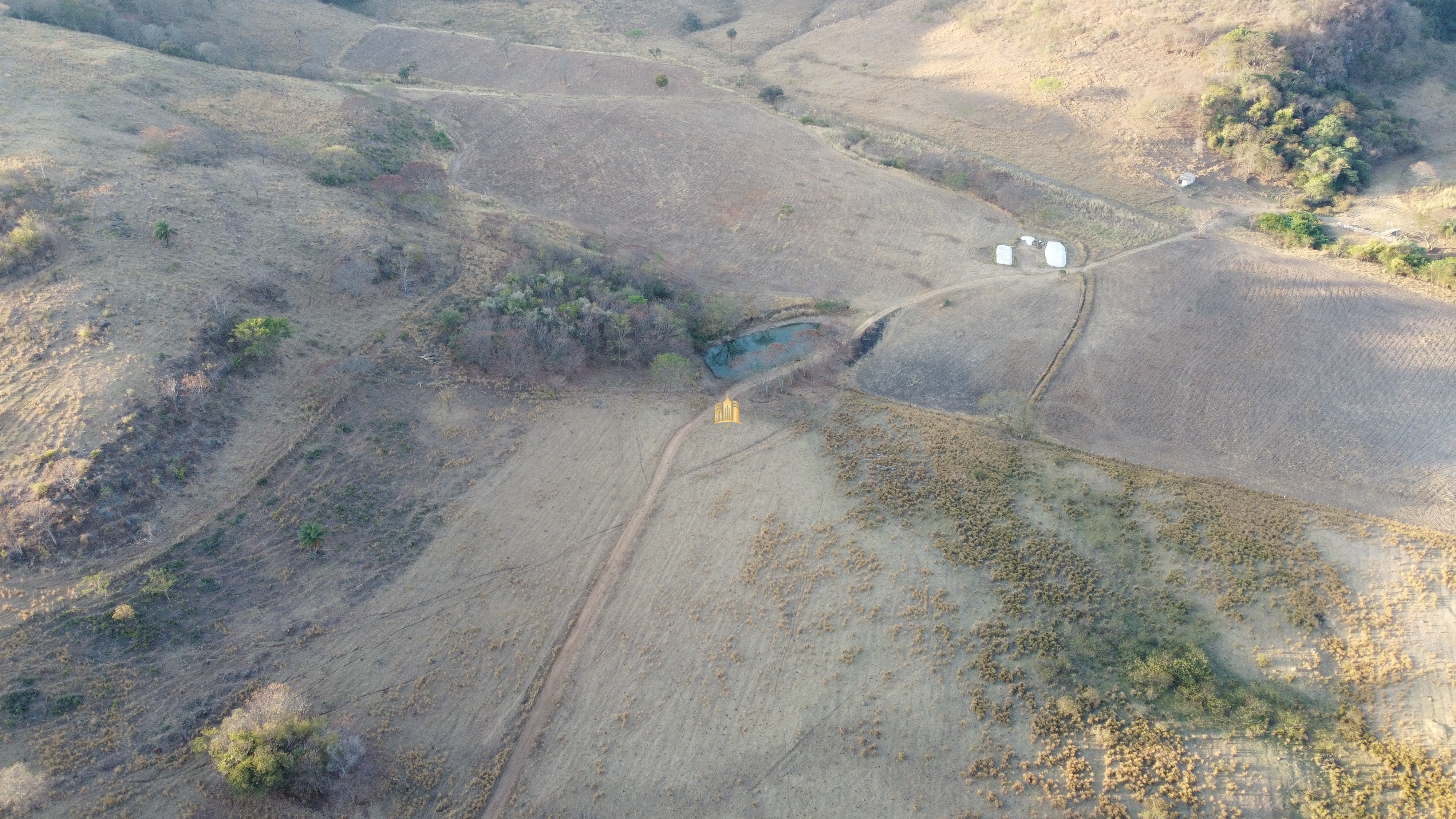 Fazenda à venda com 1 quarto, 400000m² - Foto 10