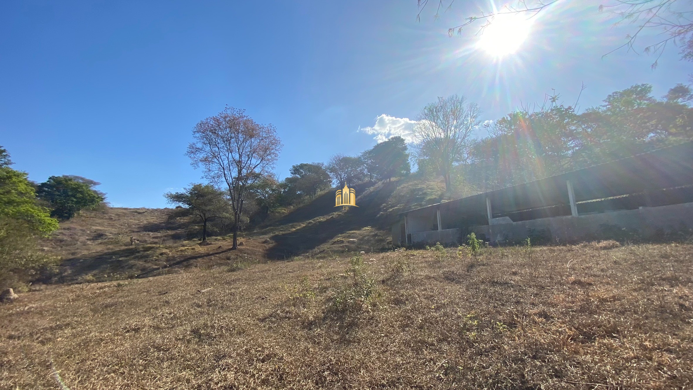 Fazenda à venda com 7 quartos, 710000m² - Foto 32