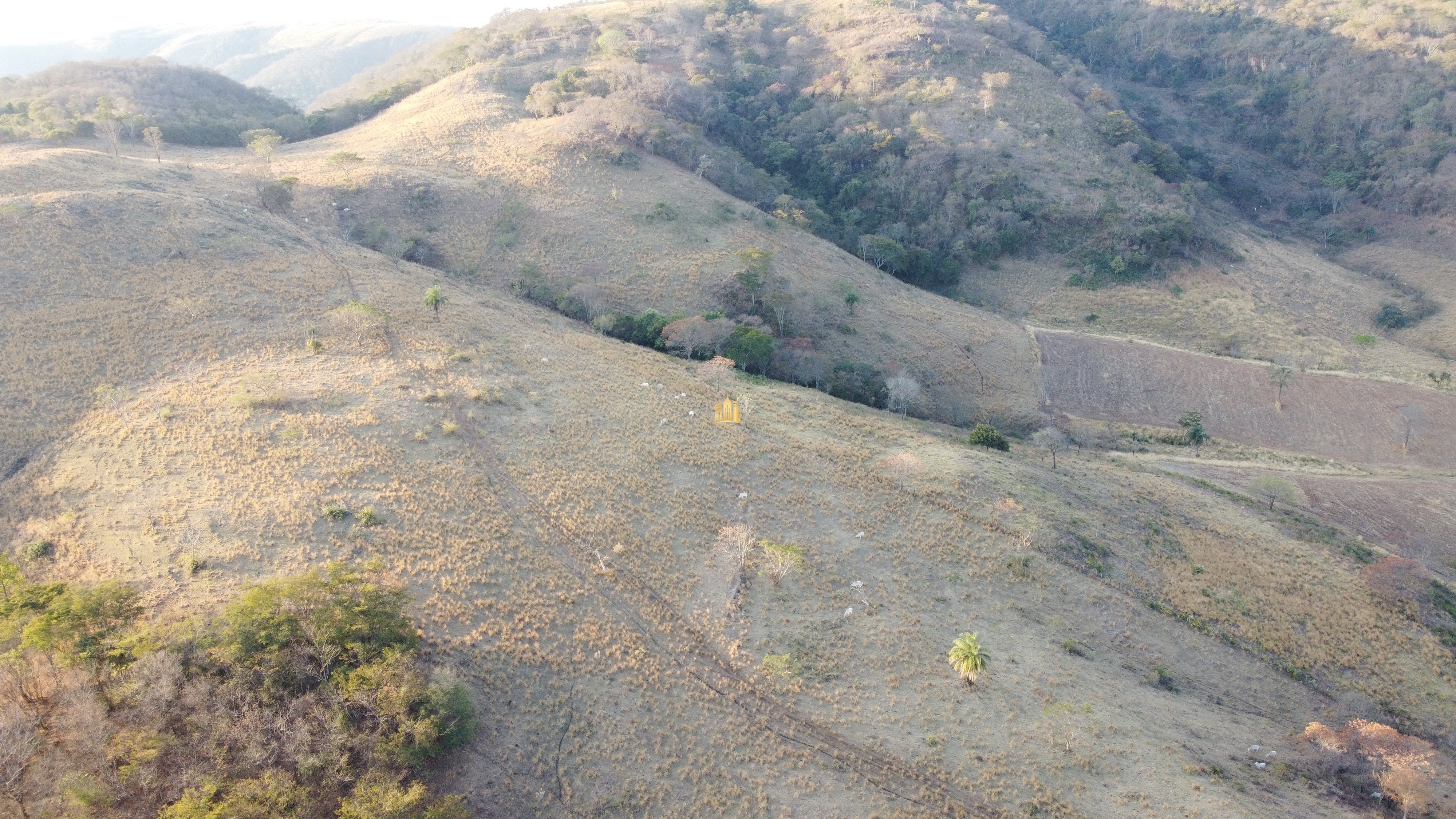 Fazenda à venda com 1 quarto, 400000m² - Foto 16