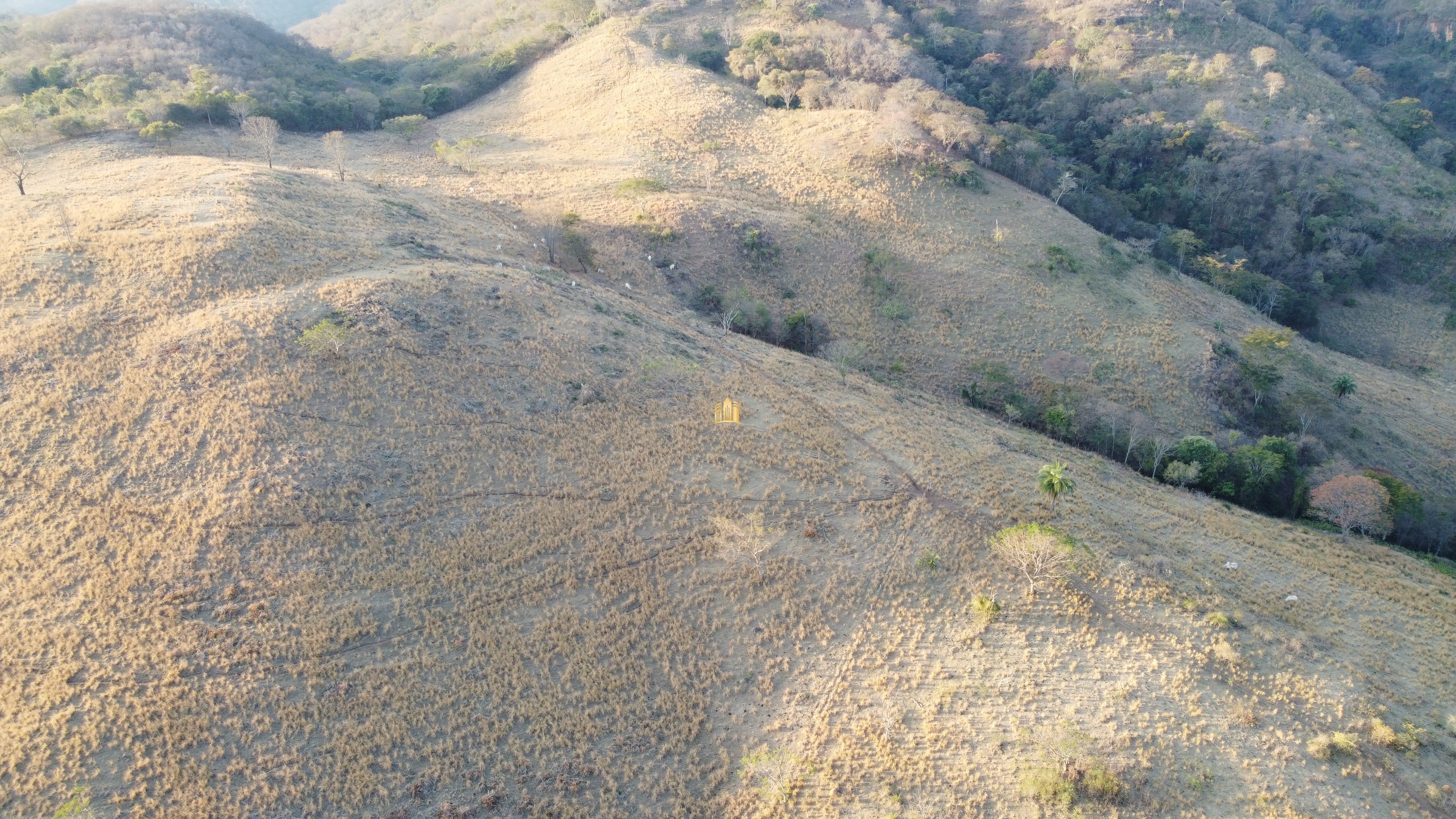 Fazenda à venda com 1 quarto, 400000m² - Foto 17