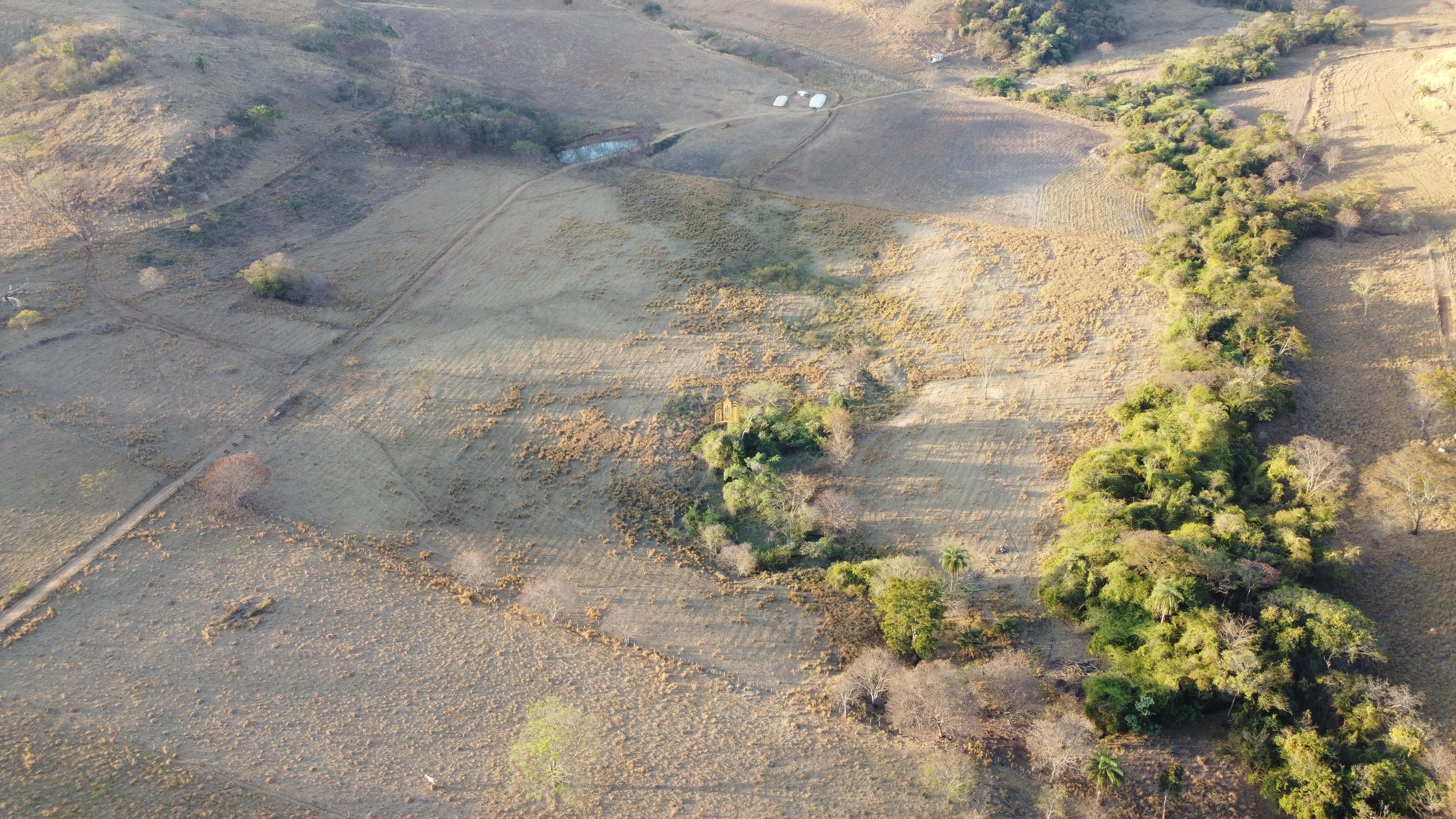 Fazenda à venda com 1 quarto, 400000m² - Foto 1