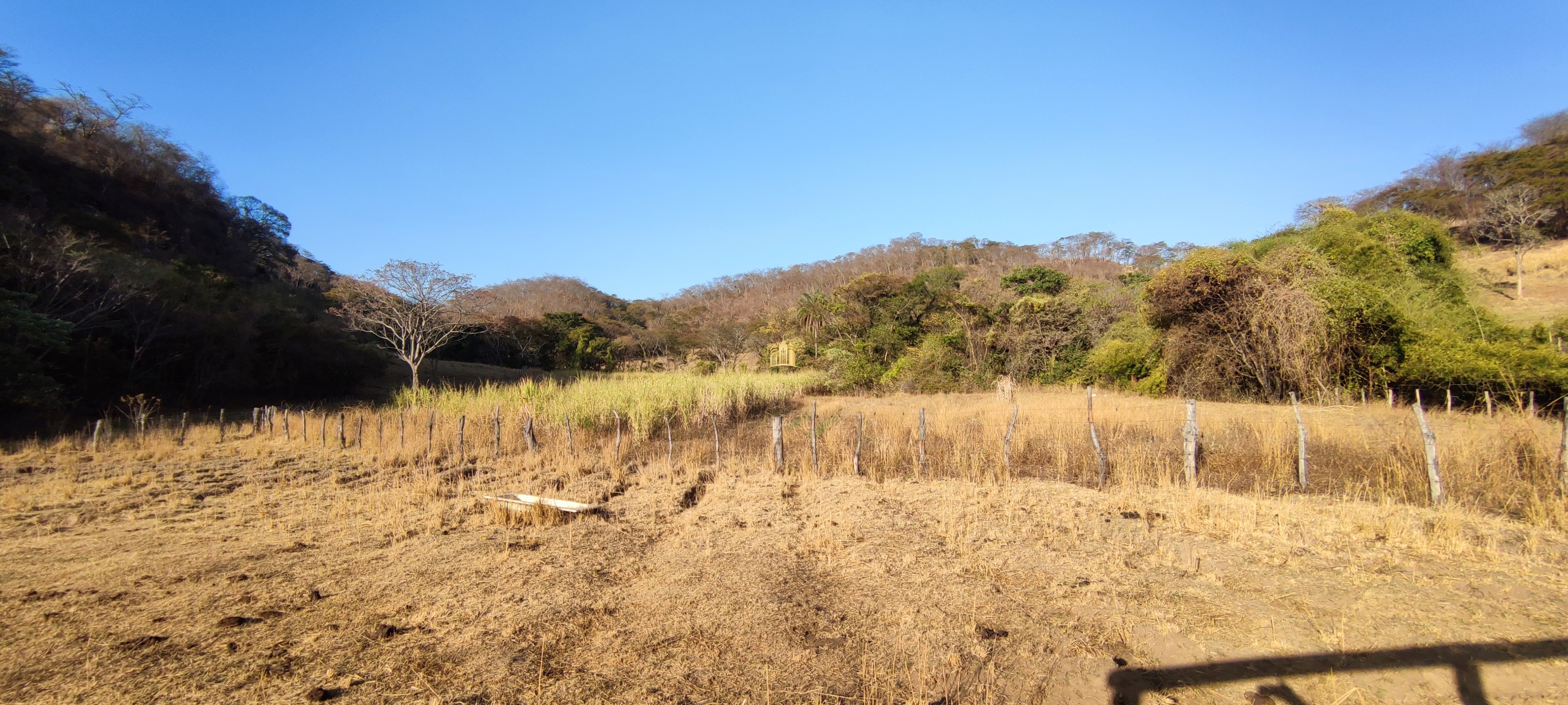 Fazenda à venda com 1 quarto, 400000m² - Foto 31