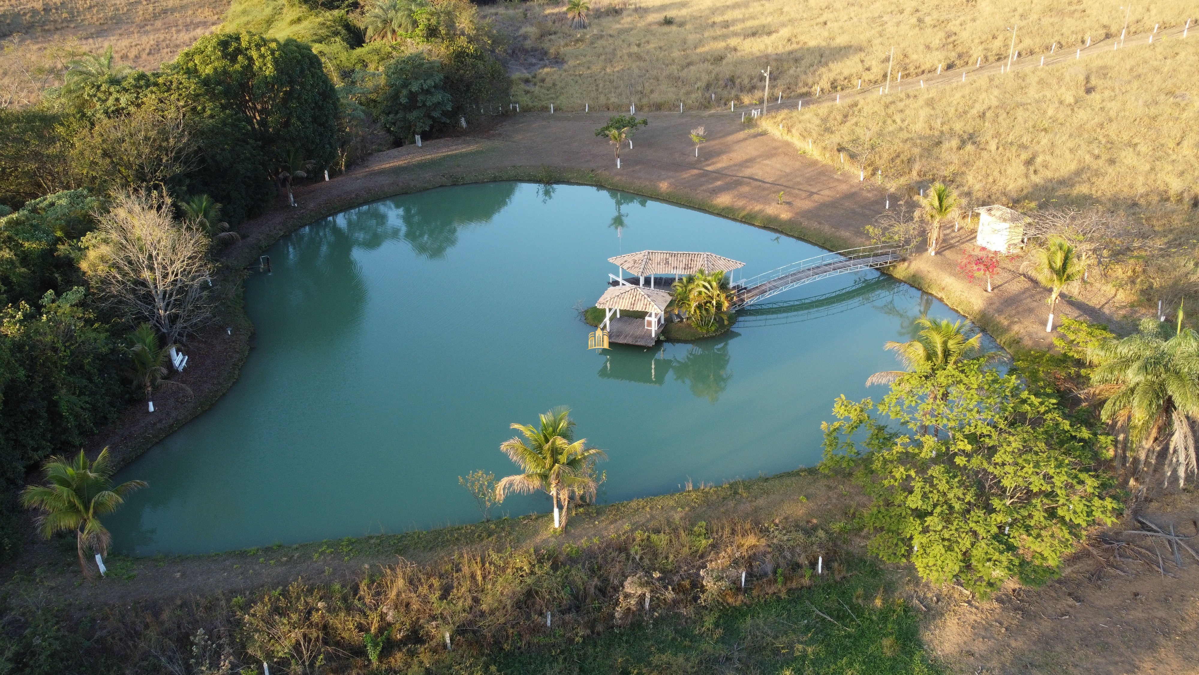 Fazenda à venda com 2 quartos, 131916m² - Foto 4