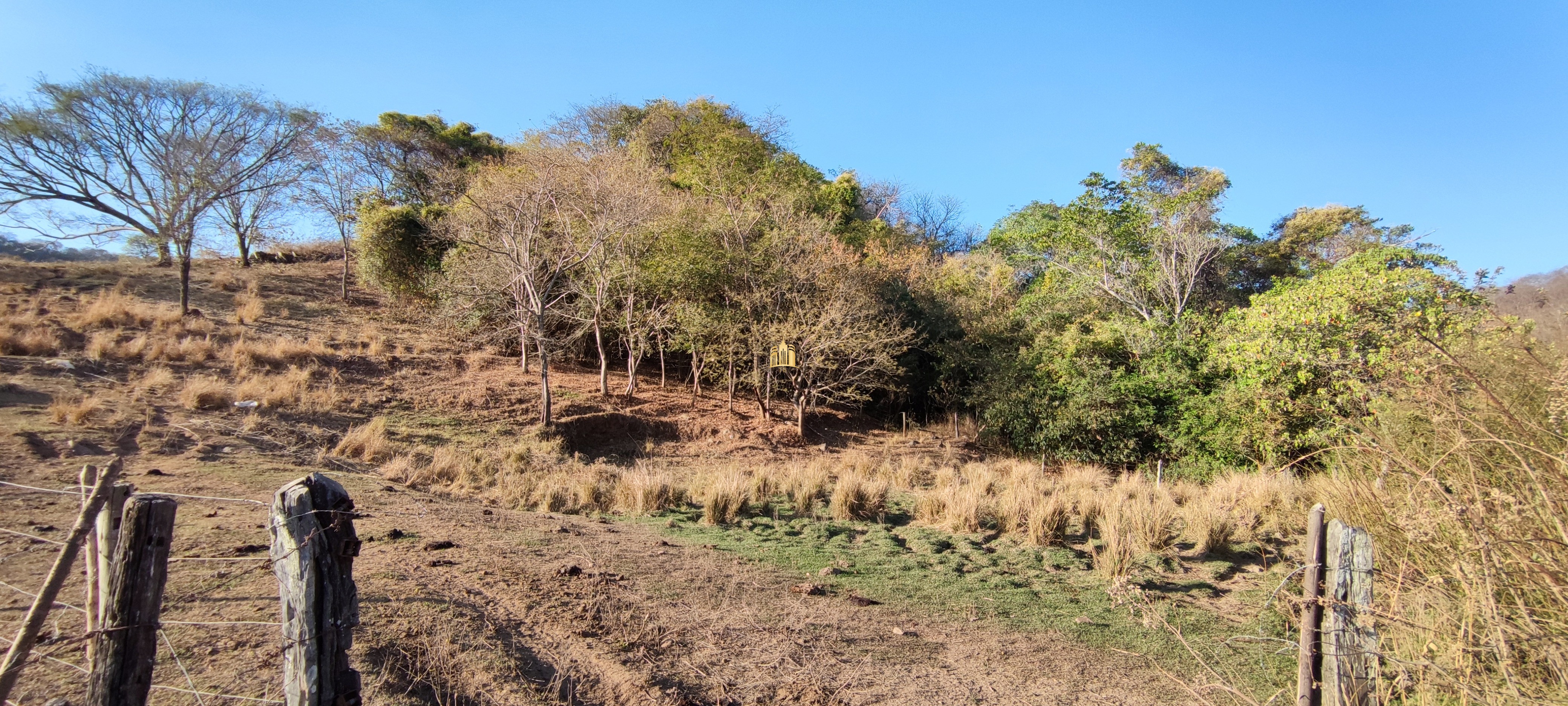 Fazenda à venda com 1 quarto, 400000m² - Foto 32