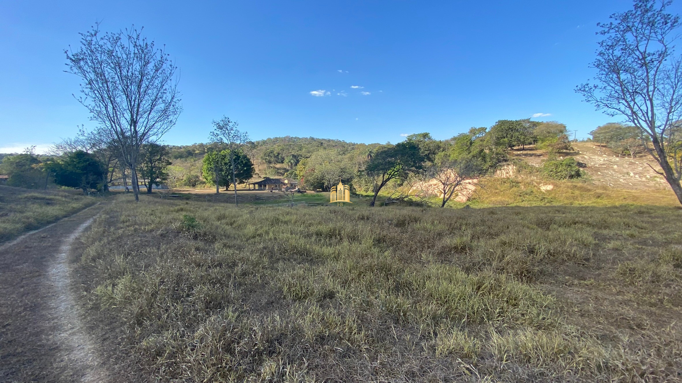 Fazenda à venda com 7 quartos, 710000m² - Foto 8