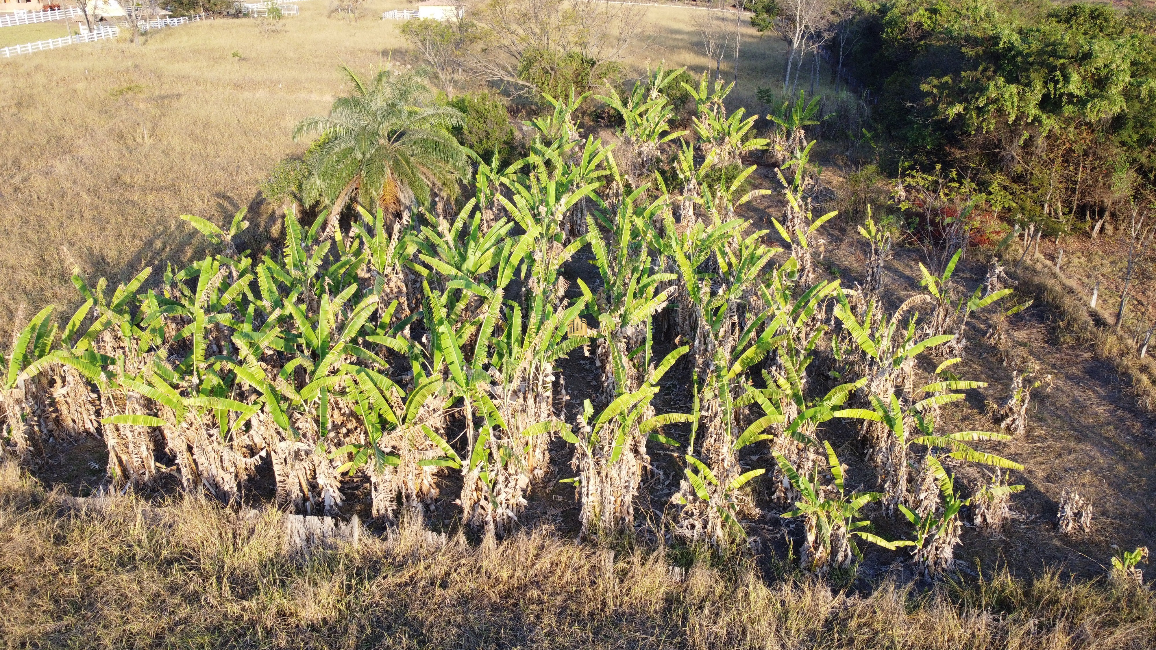 Fazenda à venda com 2 quartos, 131916m² - Foto 11