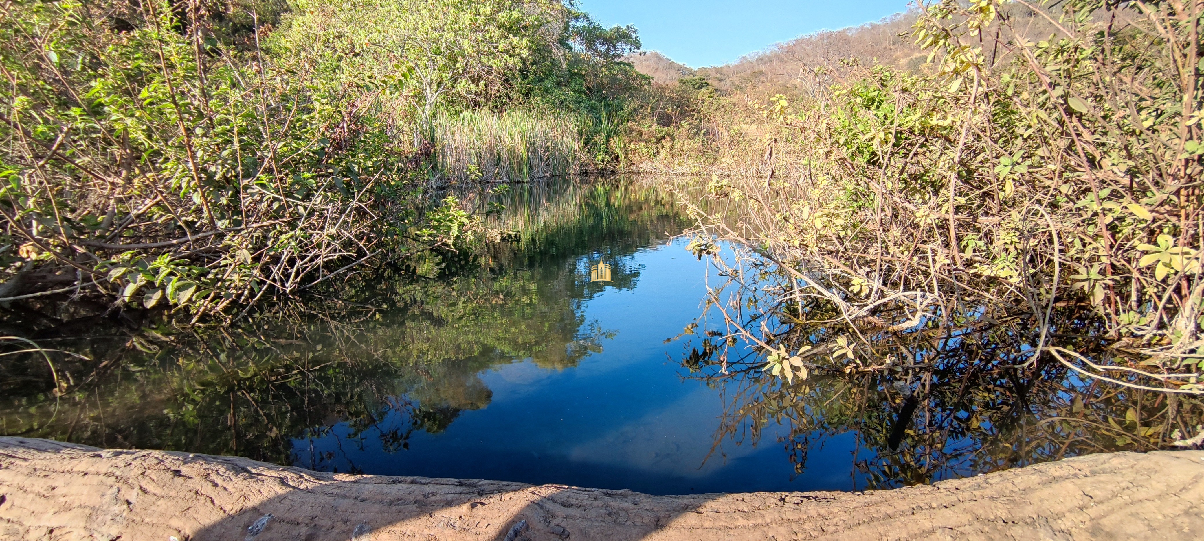 Fazenda à venda com 1 quarto, 400000m² - Foto 25