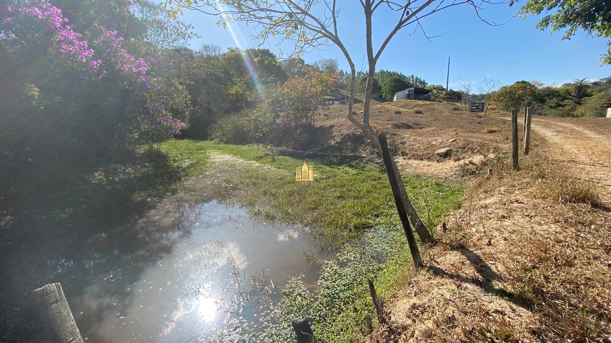 Fazenda à venda com 7 quartos, 710000m² - Foto 13