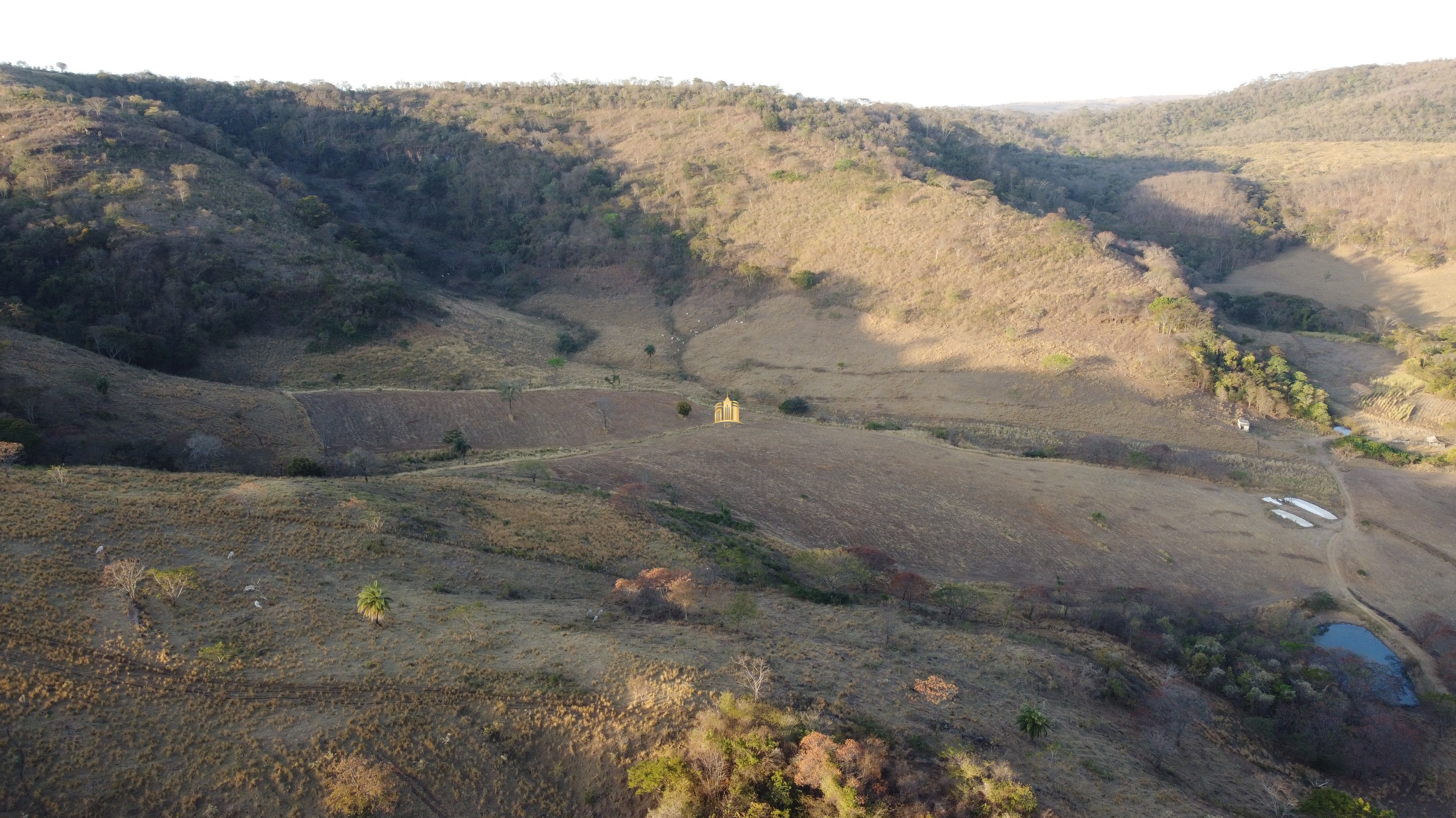 Fazenda à venda com 1 quarto, 400000m² - Foto 15