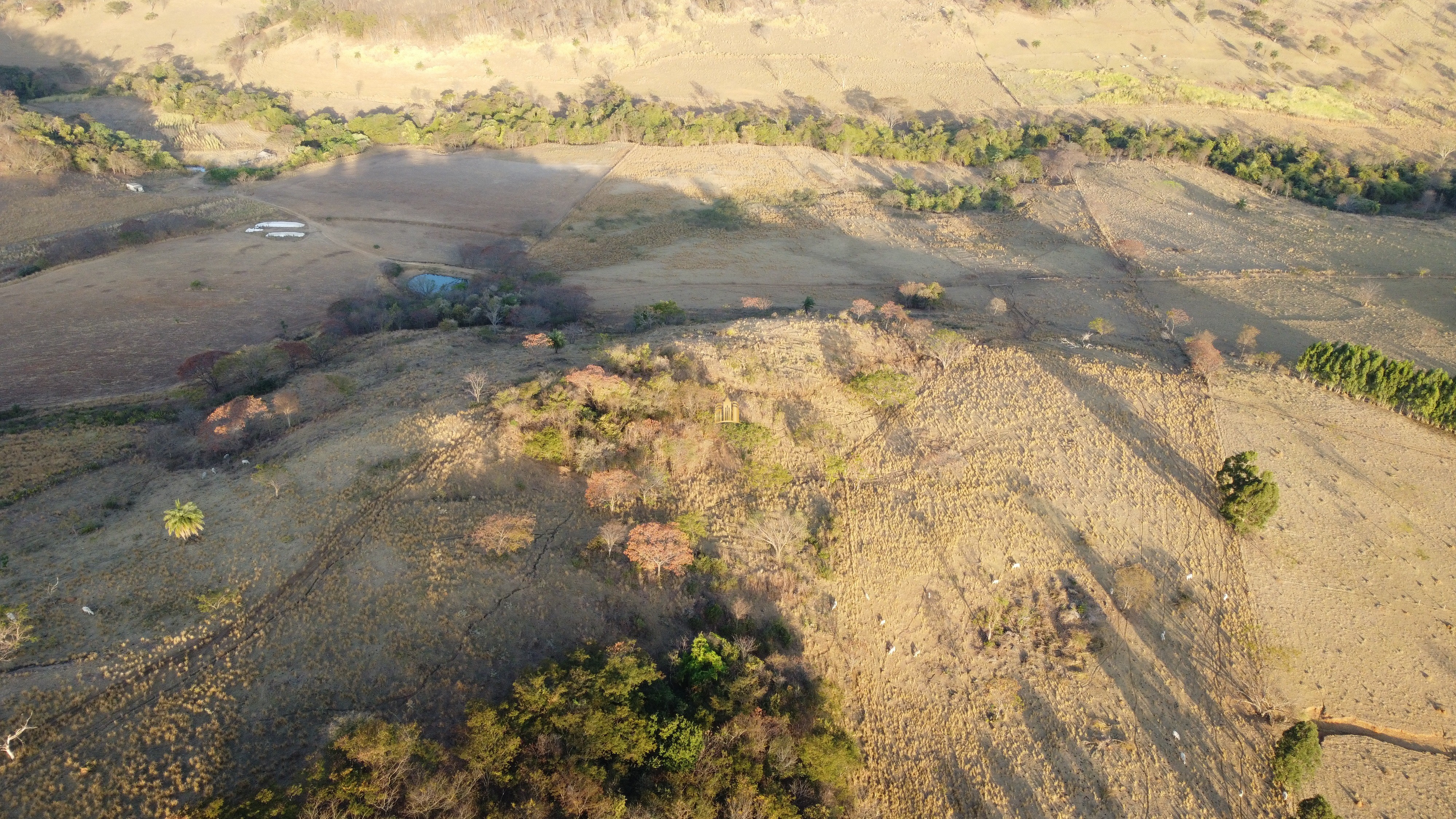 Fazenda à venda com 1 quarto, 400000m² - Foto 20