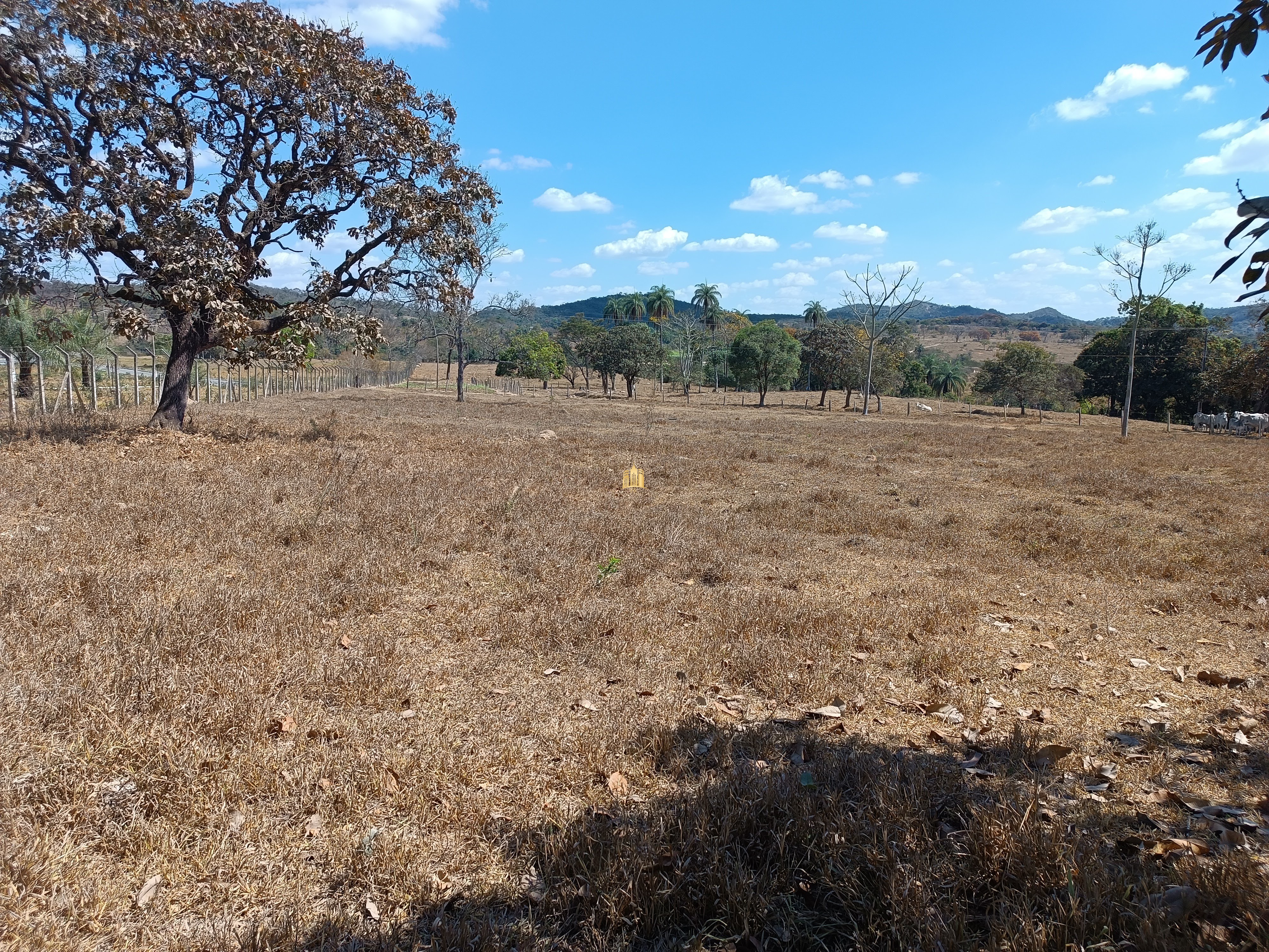 Terreno à venda, 384m² - Foto 10