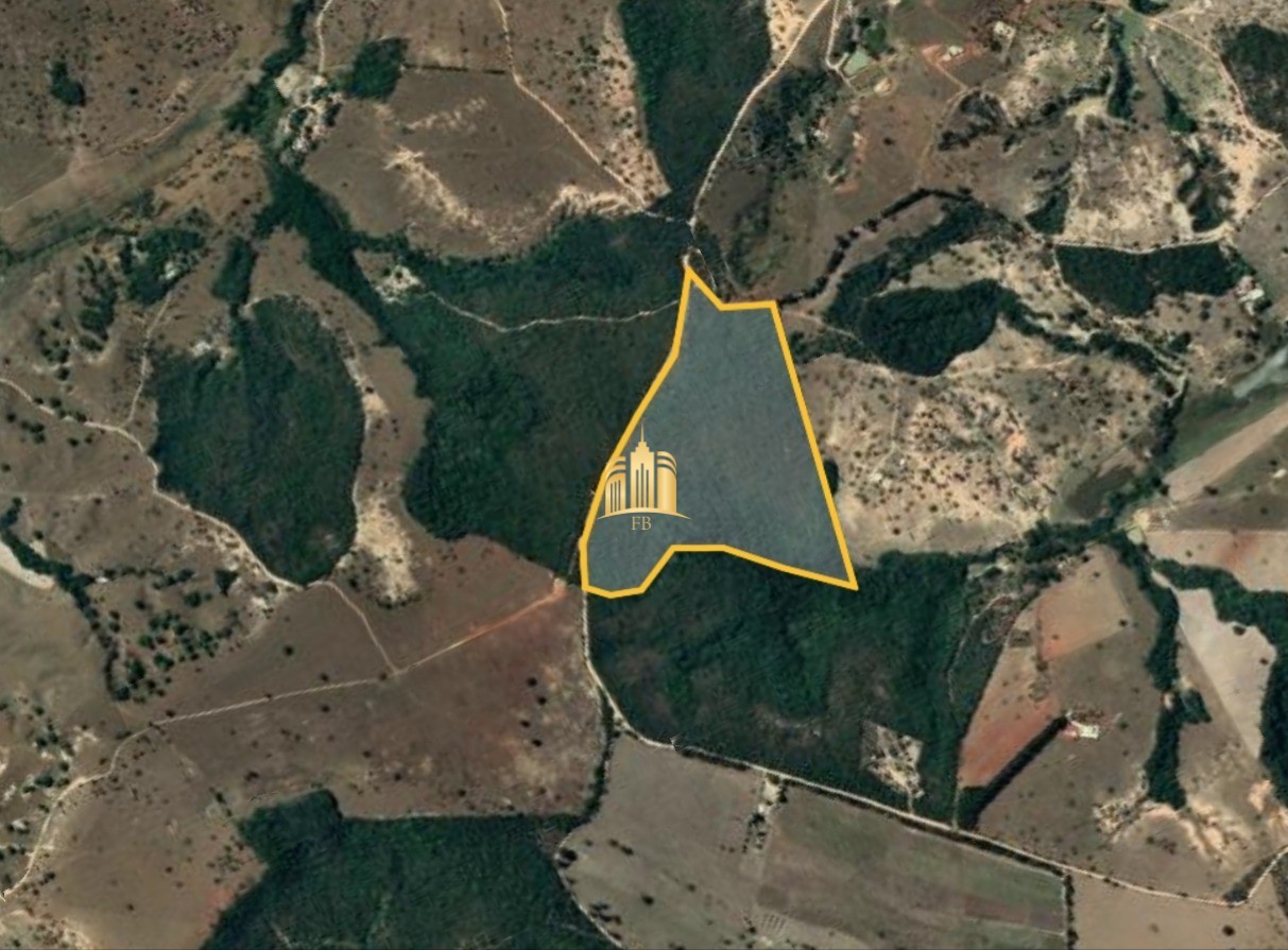 Terreno à venda, 197000m² - Foto 1