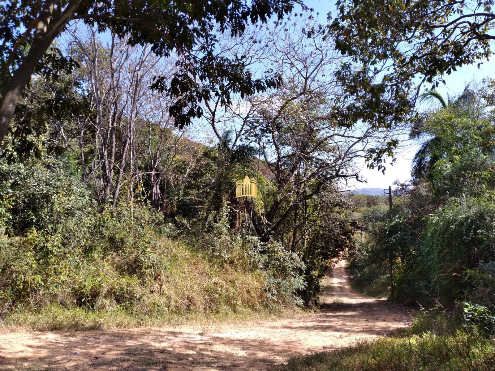 Terreno à venda, 2000m² - Foto 2