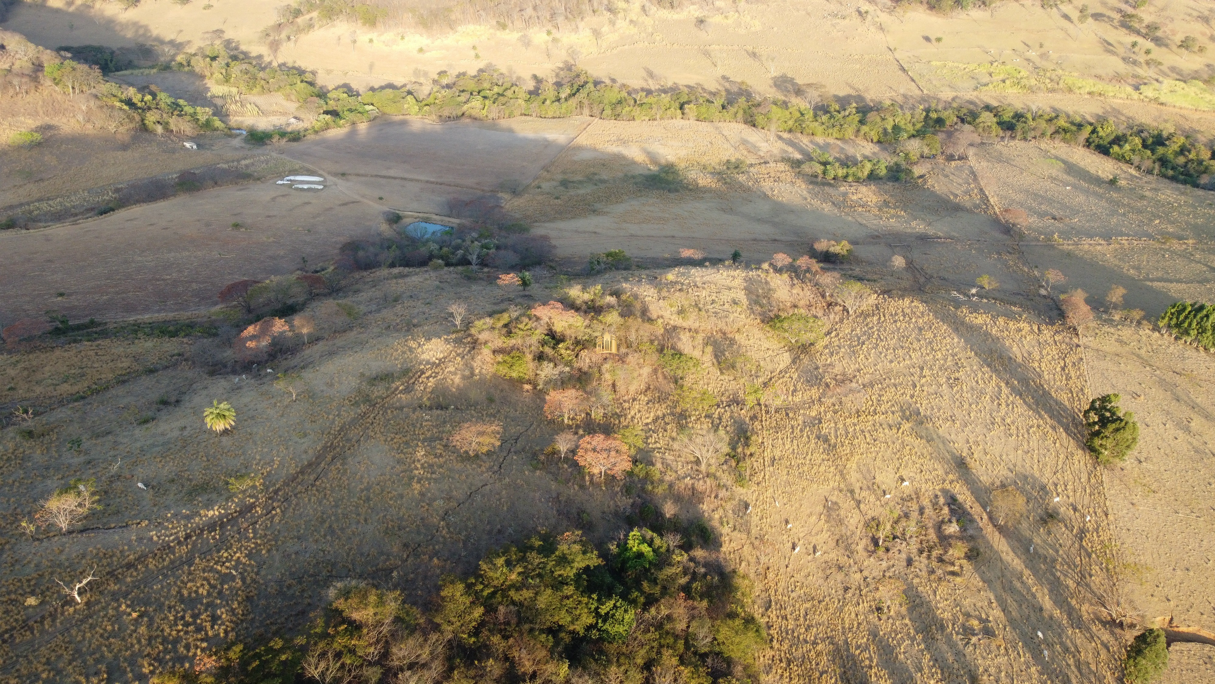 Fazenda à venda com 1 quarto, 400000m² - Foto 19