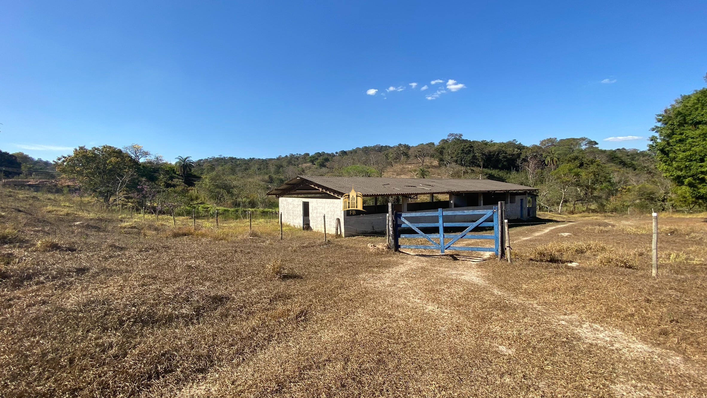 Fazenda à venda com 7 quartos, 710000m² - Foto 17