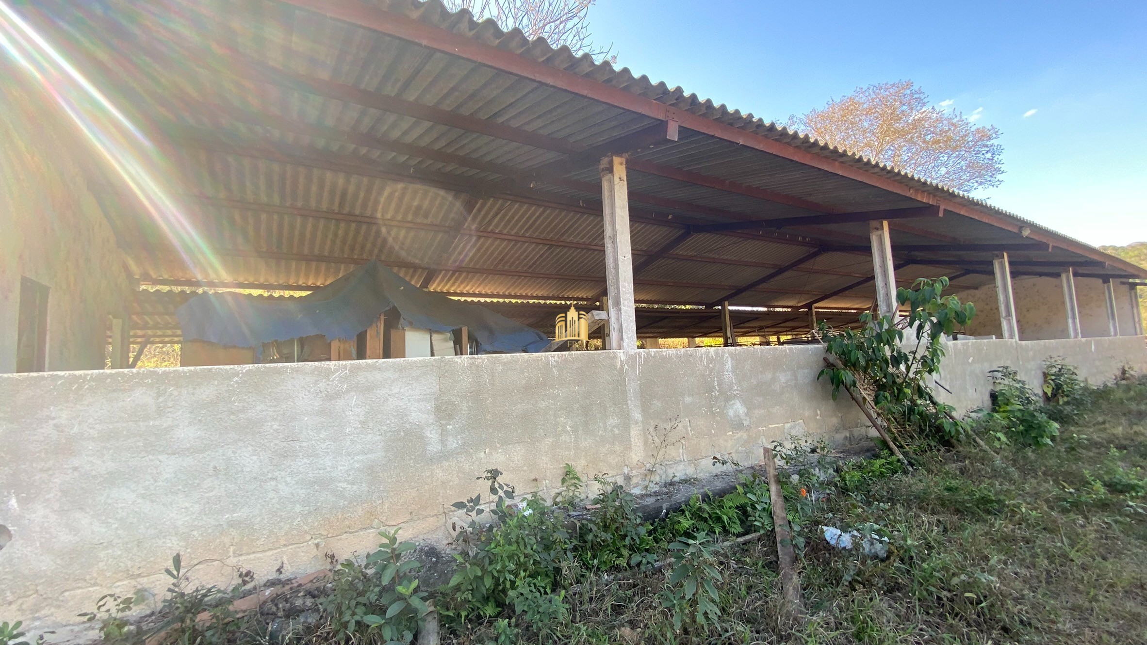 Fazenda à venda com 7 quartos, 710000m² - Foto 37