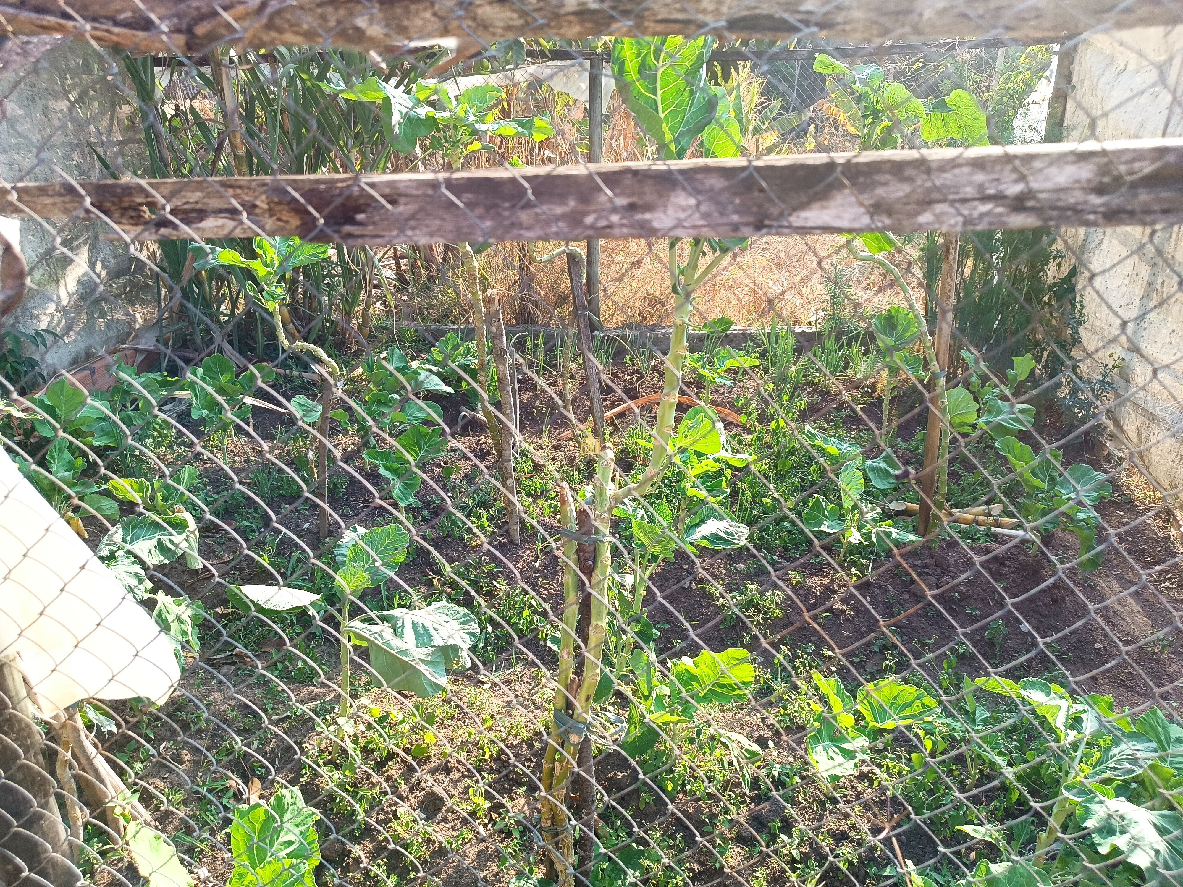 Sítio, 6 quartos, 7000 m² - Foto 98