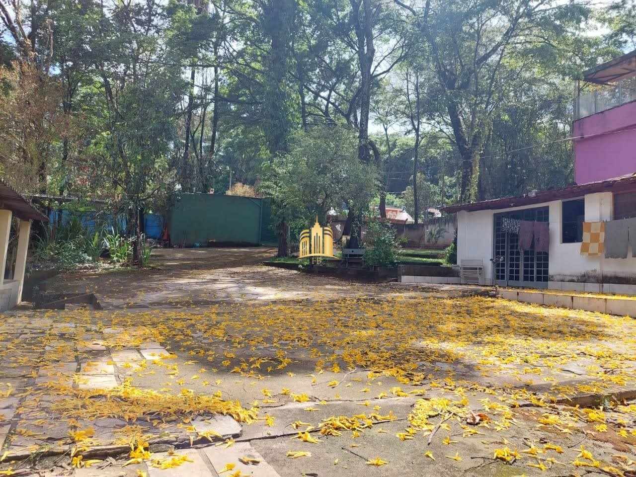 Sítio, 8 quartos, 5635 m² - Foto 10