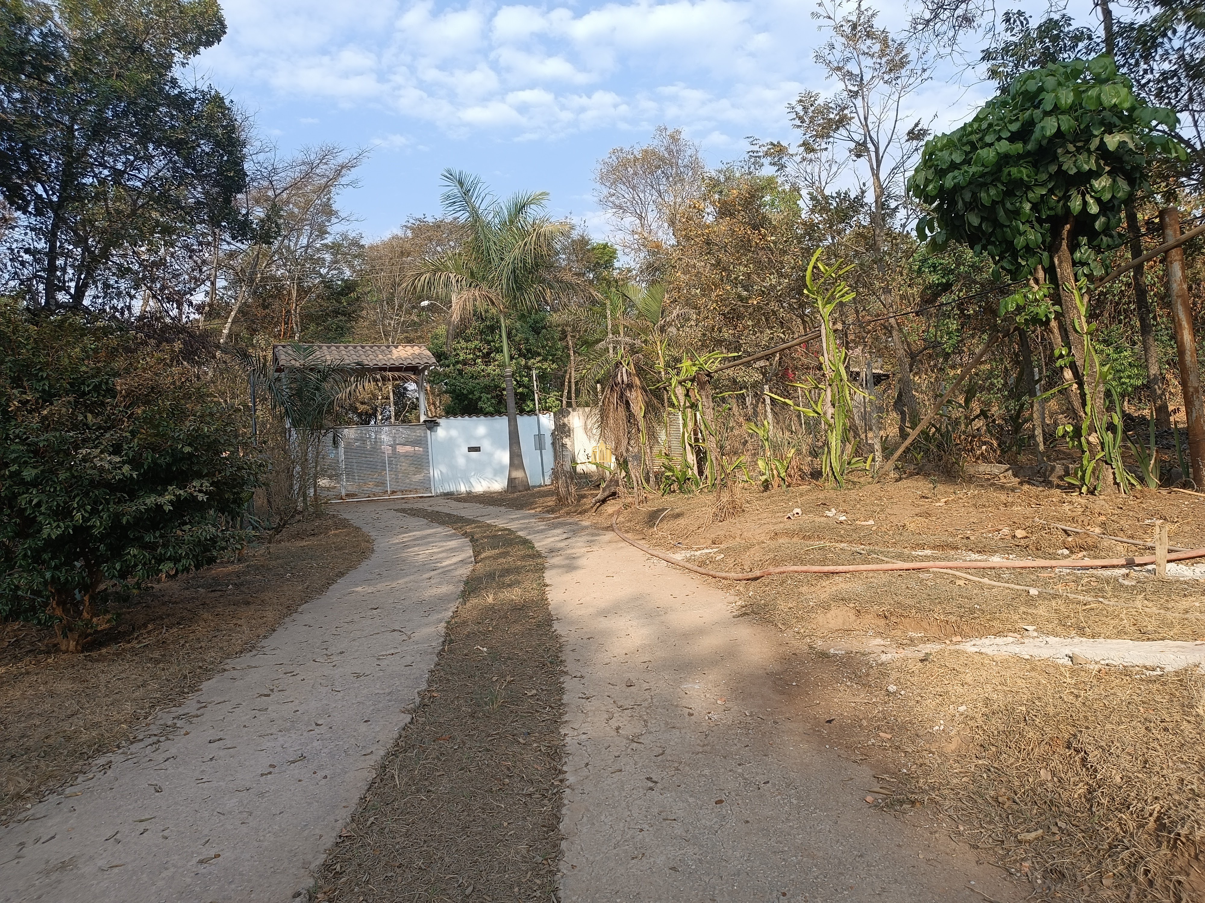 Sítio, 6 quartos, 7000 m² - Foto 16