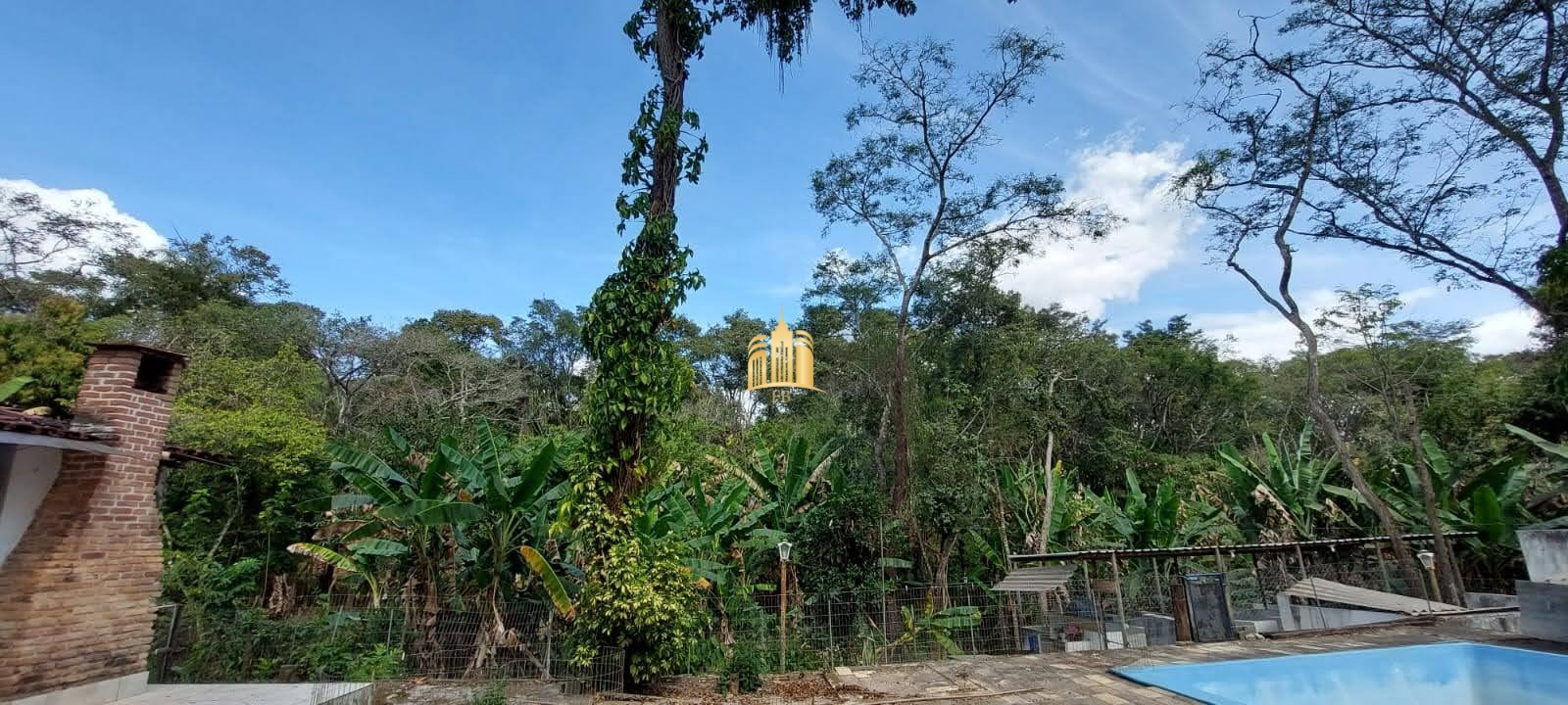 Sítio, 8 quartos, 5635 m² - Foto 8