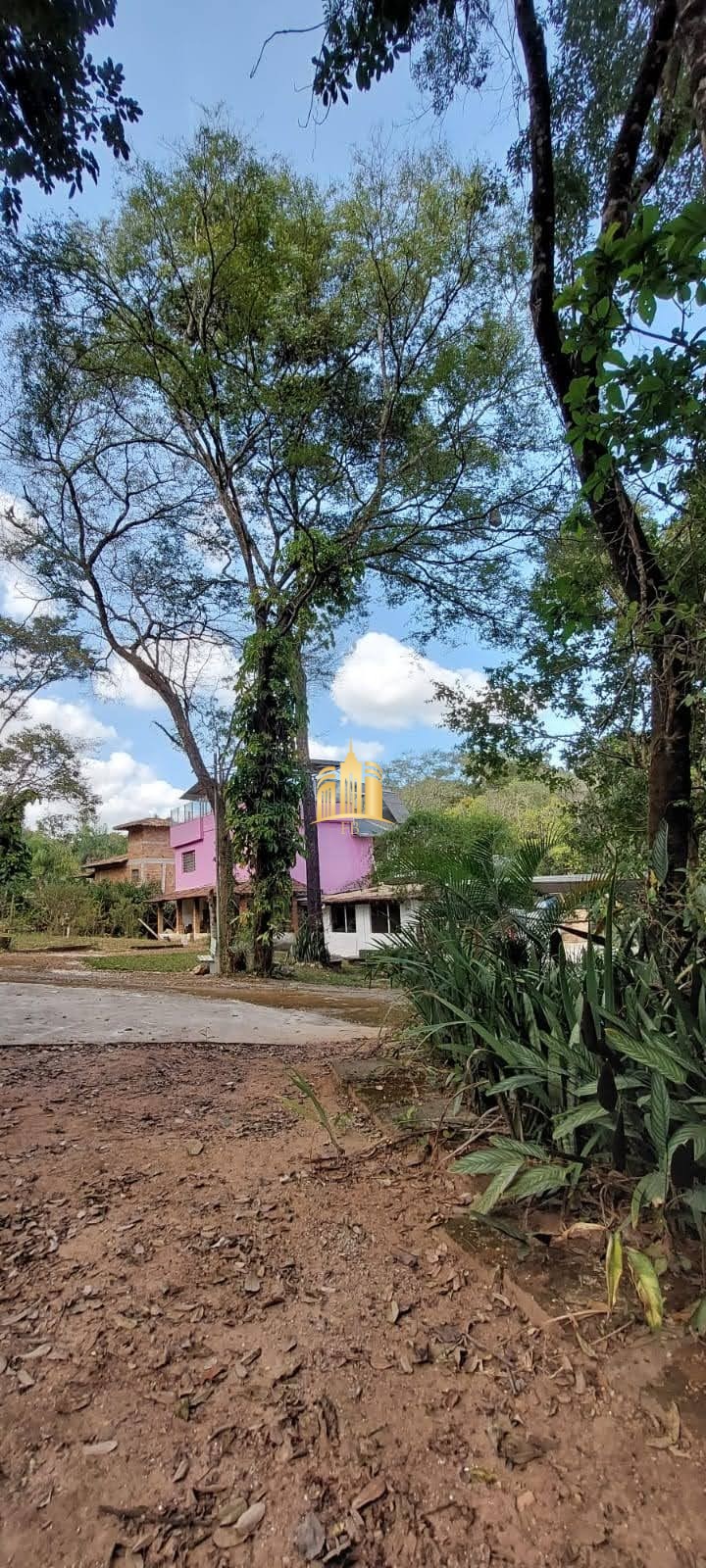 Sítio, 8 quartos, 5635 m² - Foto 29