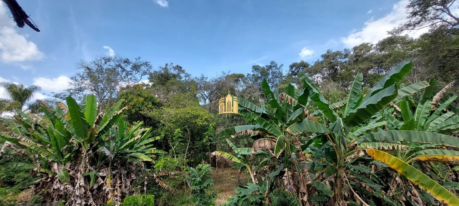 Sítio, 8 quartos, 5635 m² - Foto 31