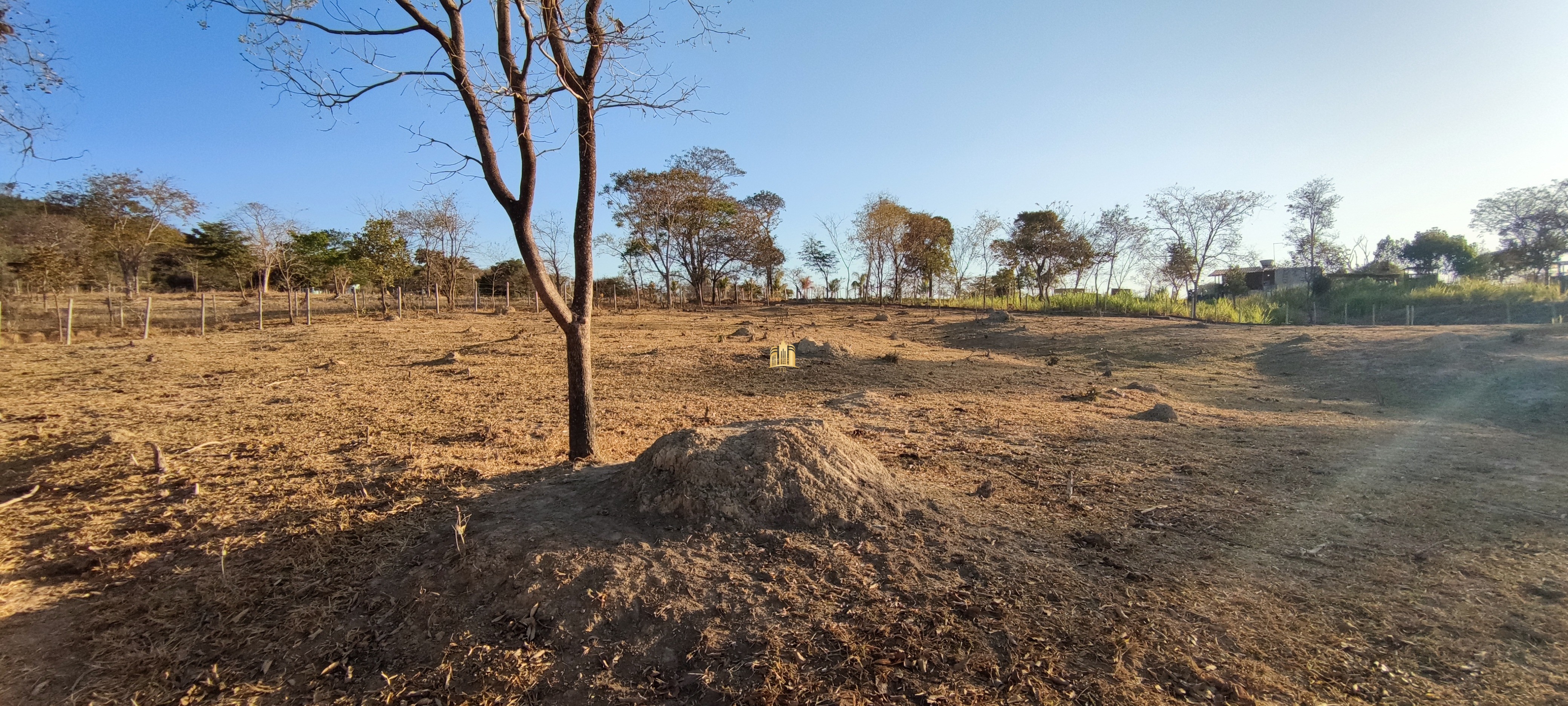 Terreno à venda, 3000m² - Foto 6