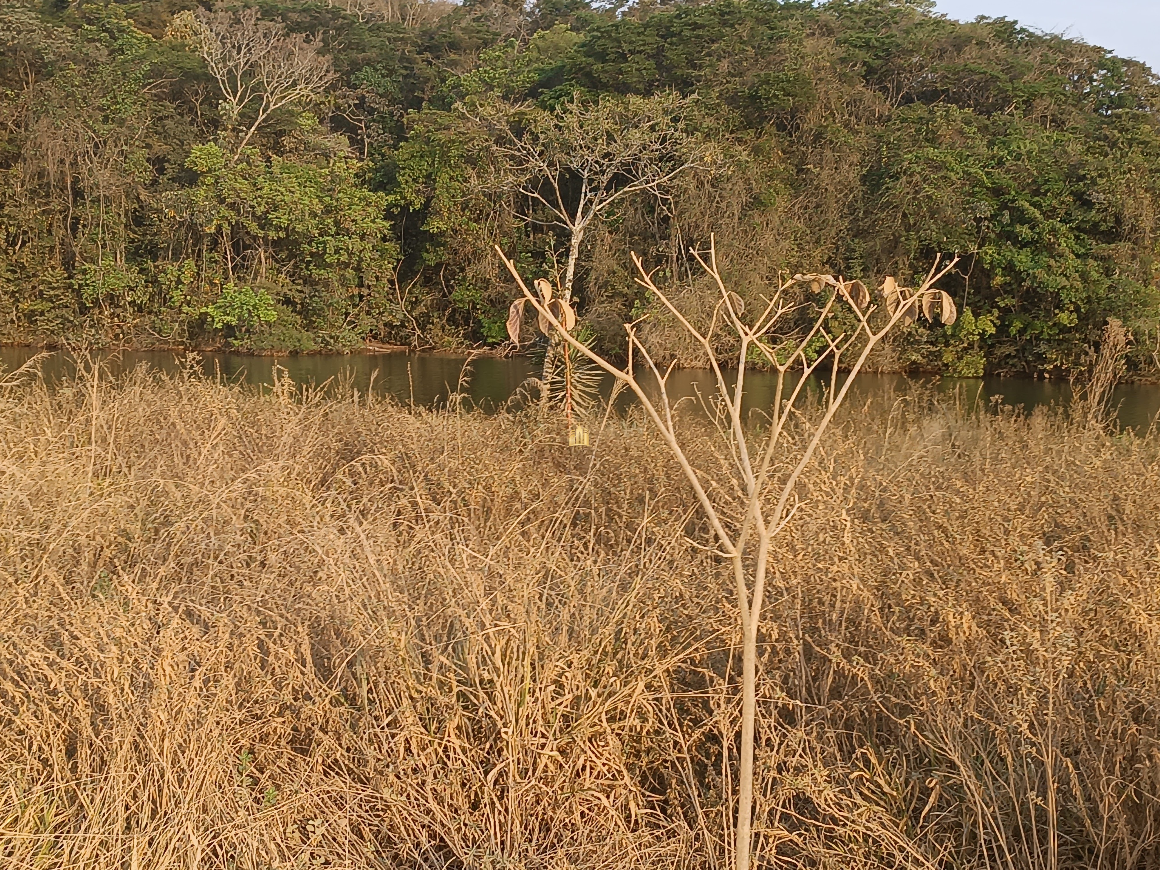 Sítio, 6 quartos, 7000 m² - Foto 8