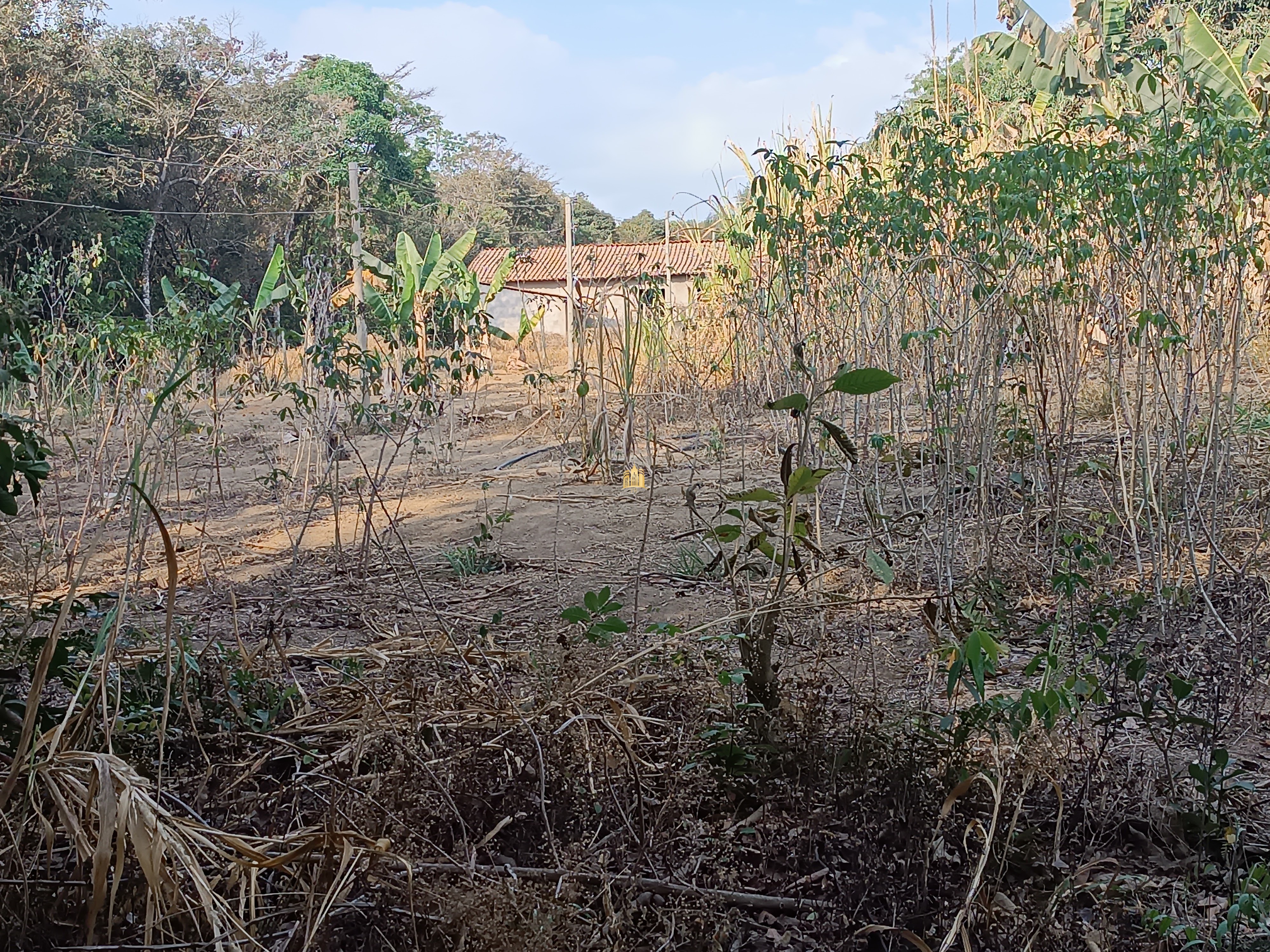 Sítio, 6 quartos, 7000 m² - Foto 81