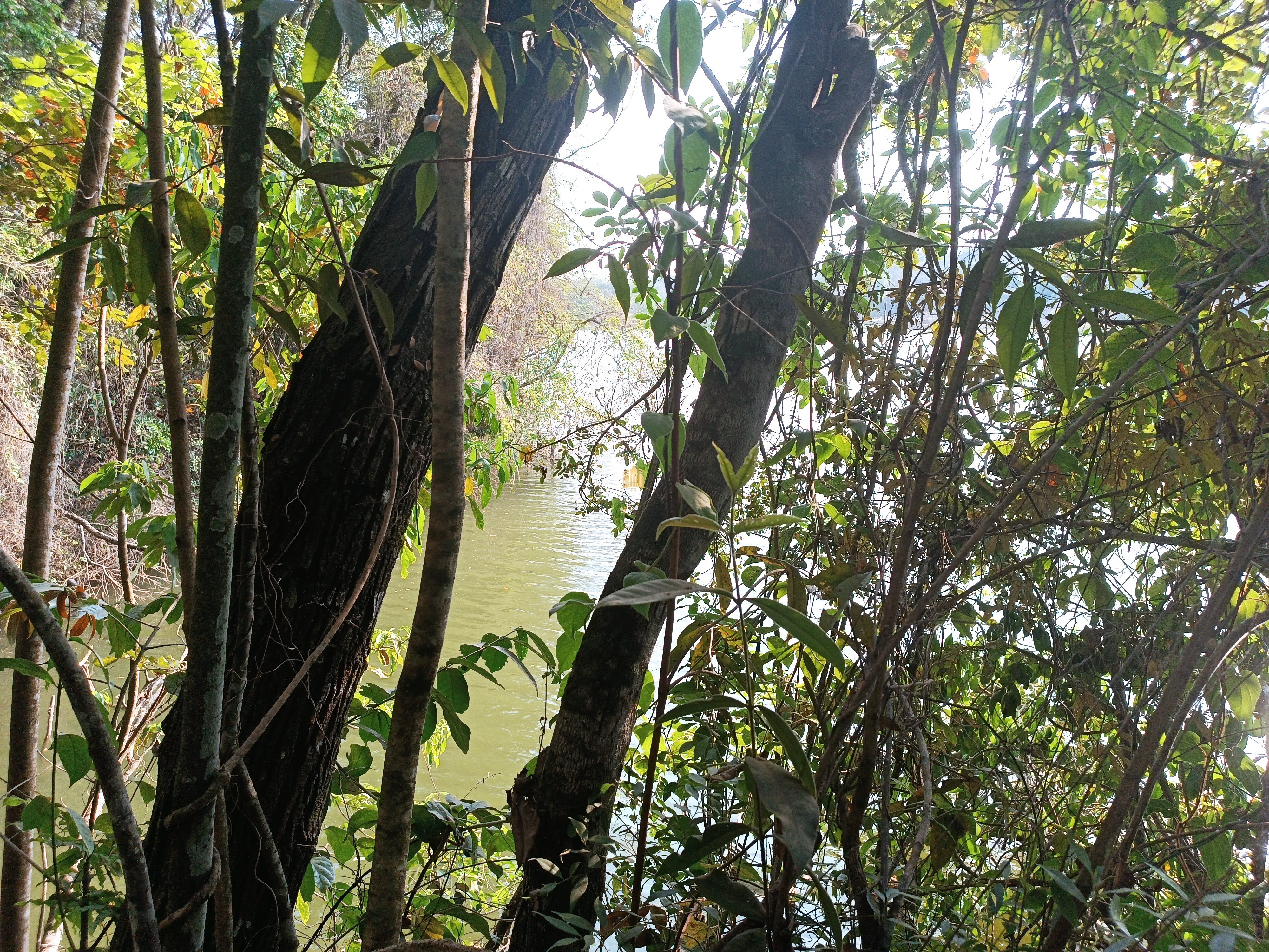 Sítio, 6 quartos, 7000 m² - Foto 95