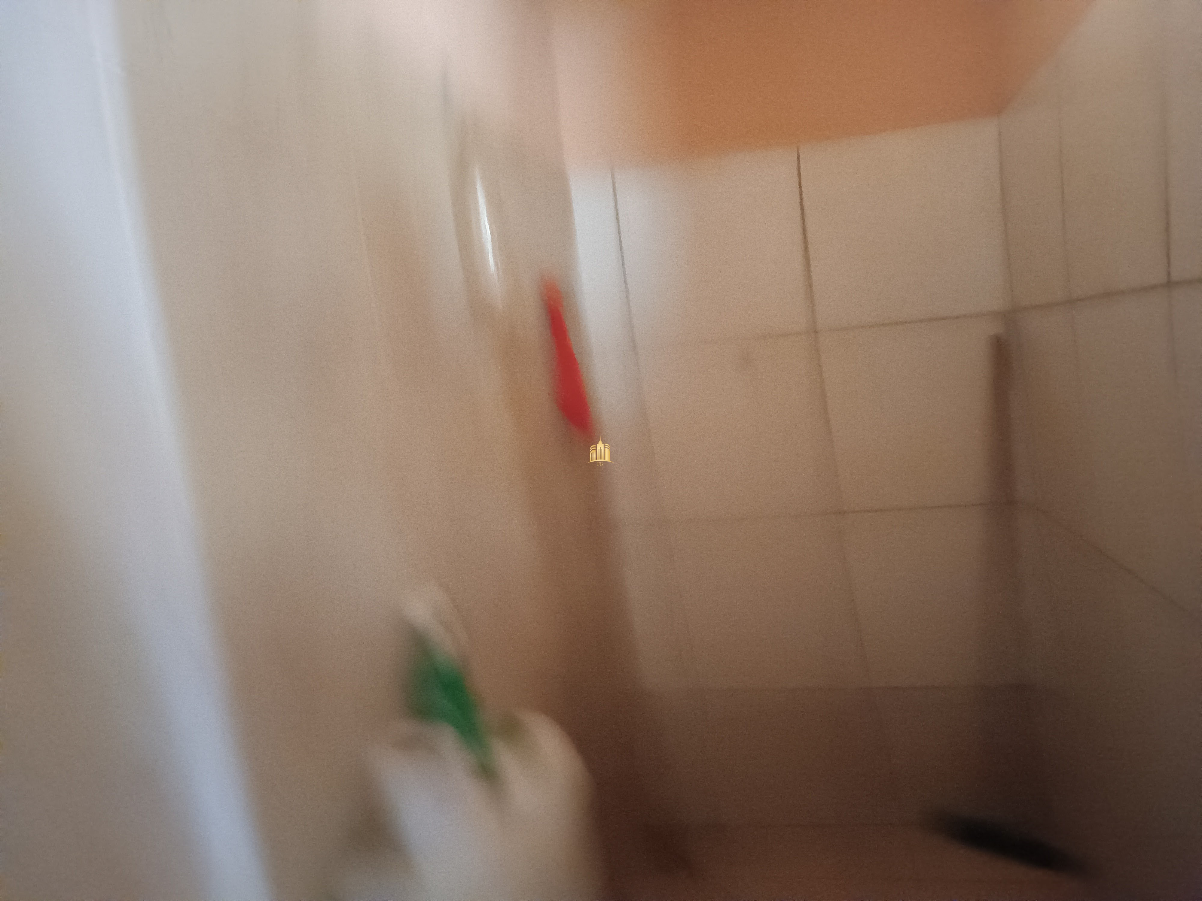 Sítio, 6 quartos, 7000 m² - Foto 108