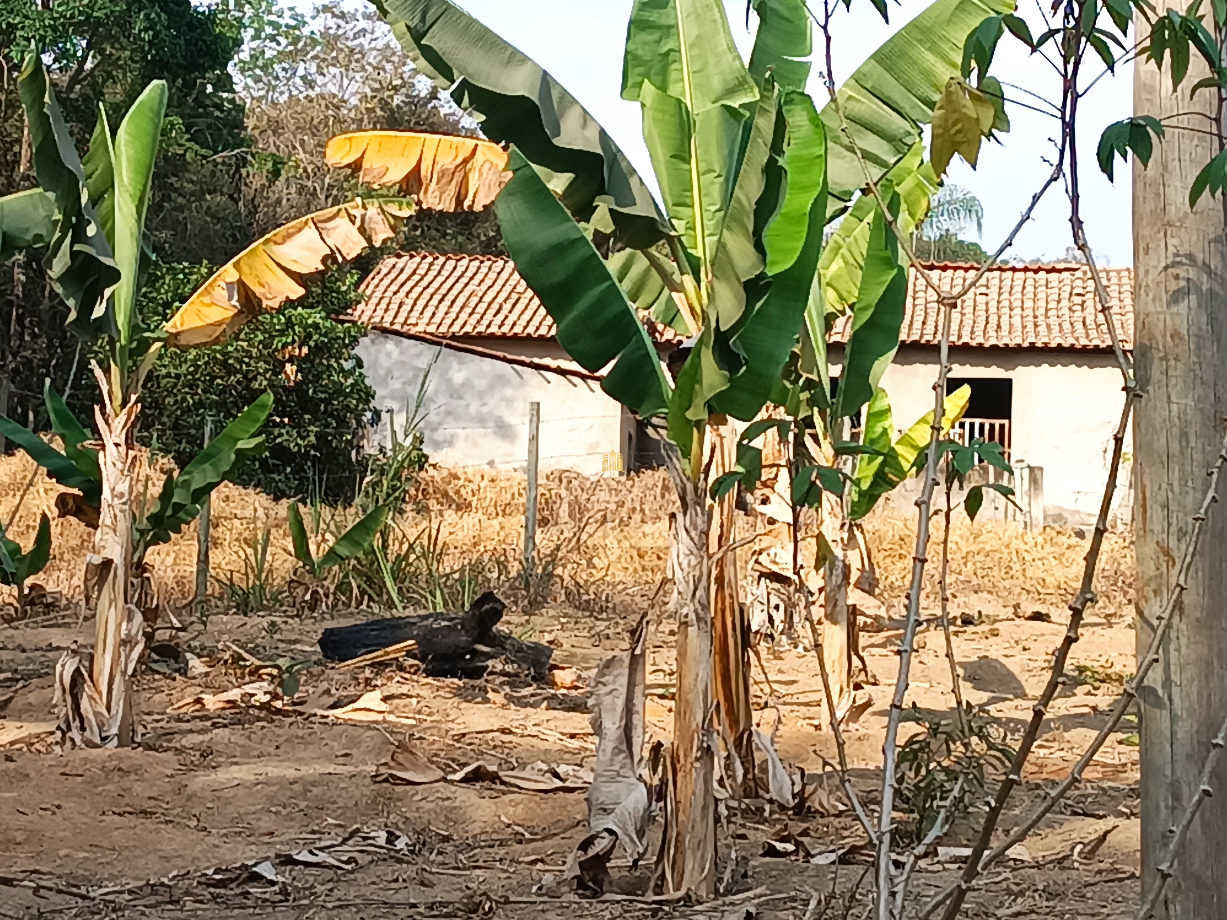 Sítio, 6 quartos, 7000 m² - Foto 78