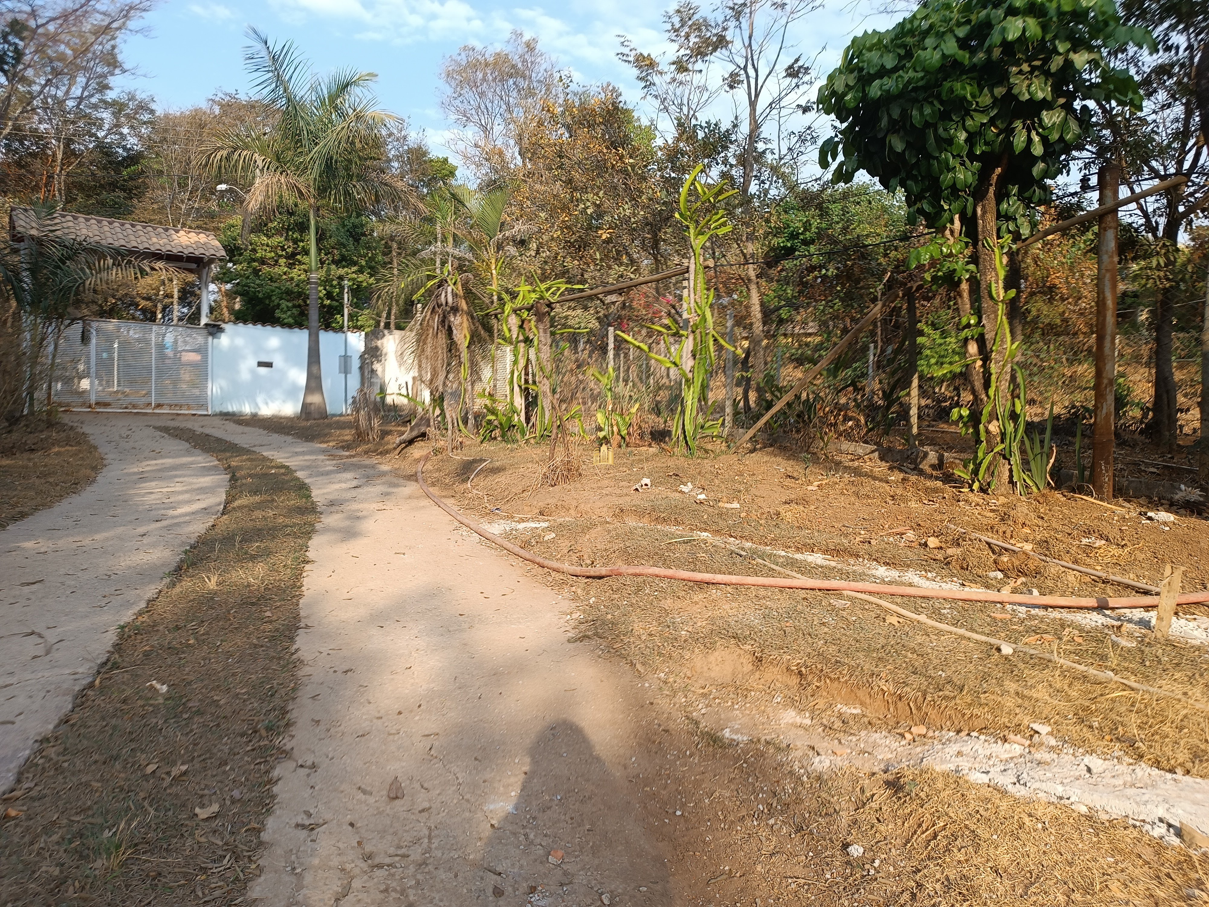 Sítio, 6 quartos, 7000 m² - Foto 15