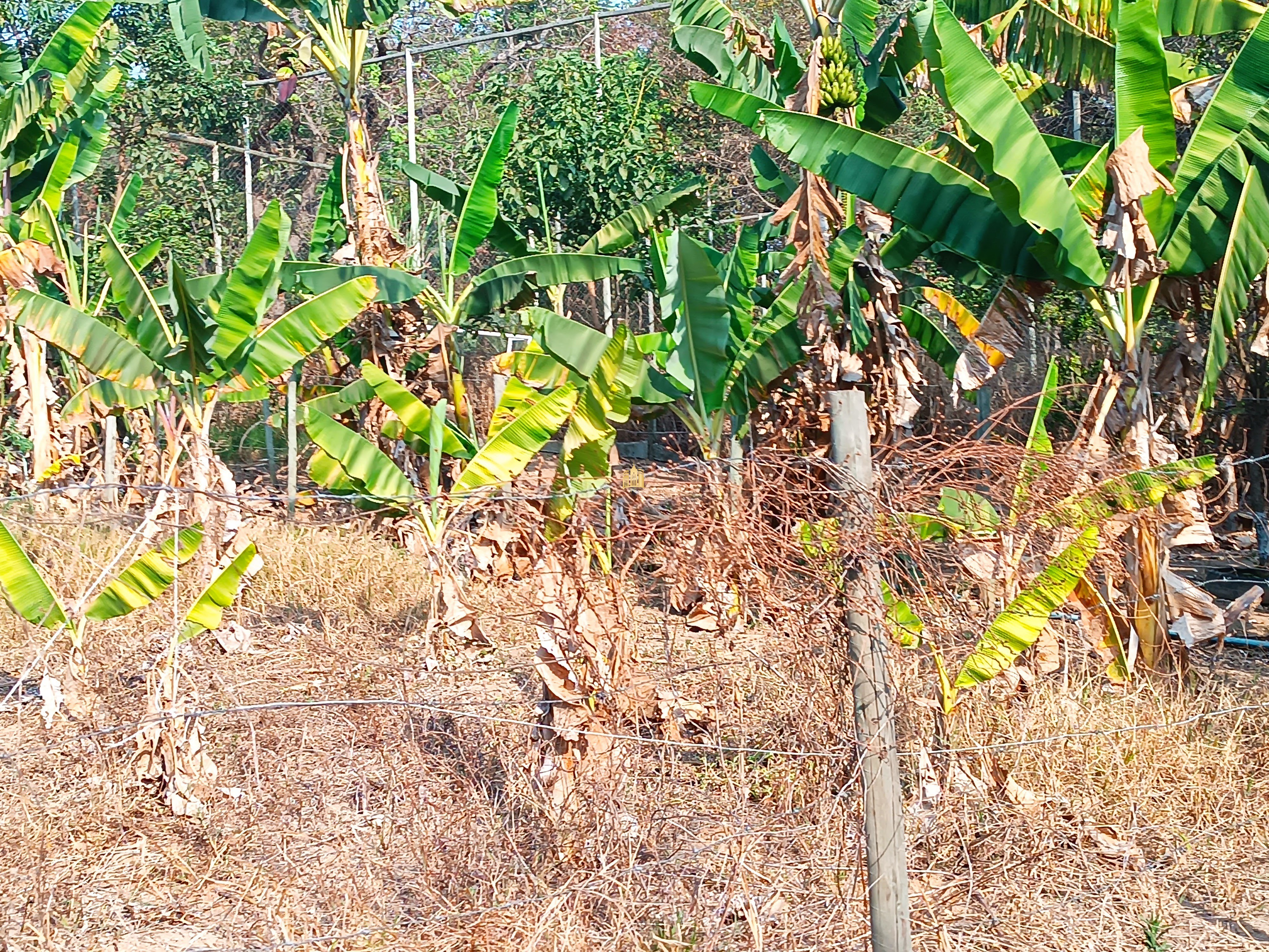 Sítio, 6 quartos, 7000 m² - Foto 75