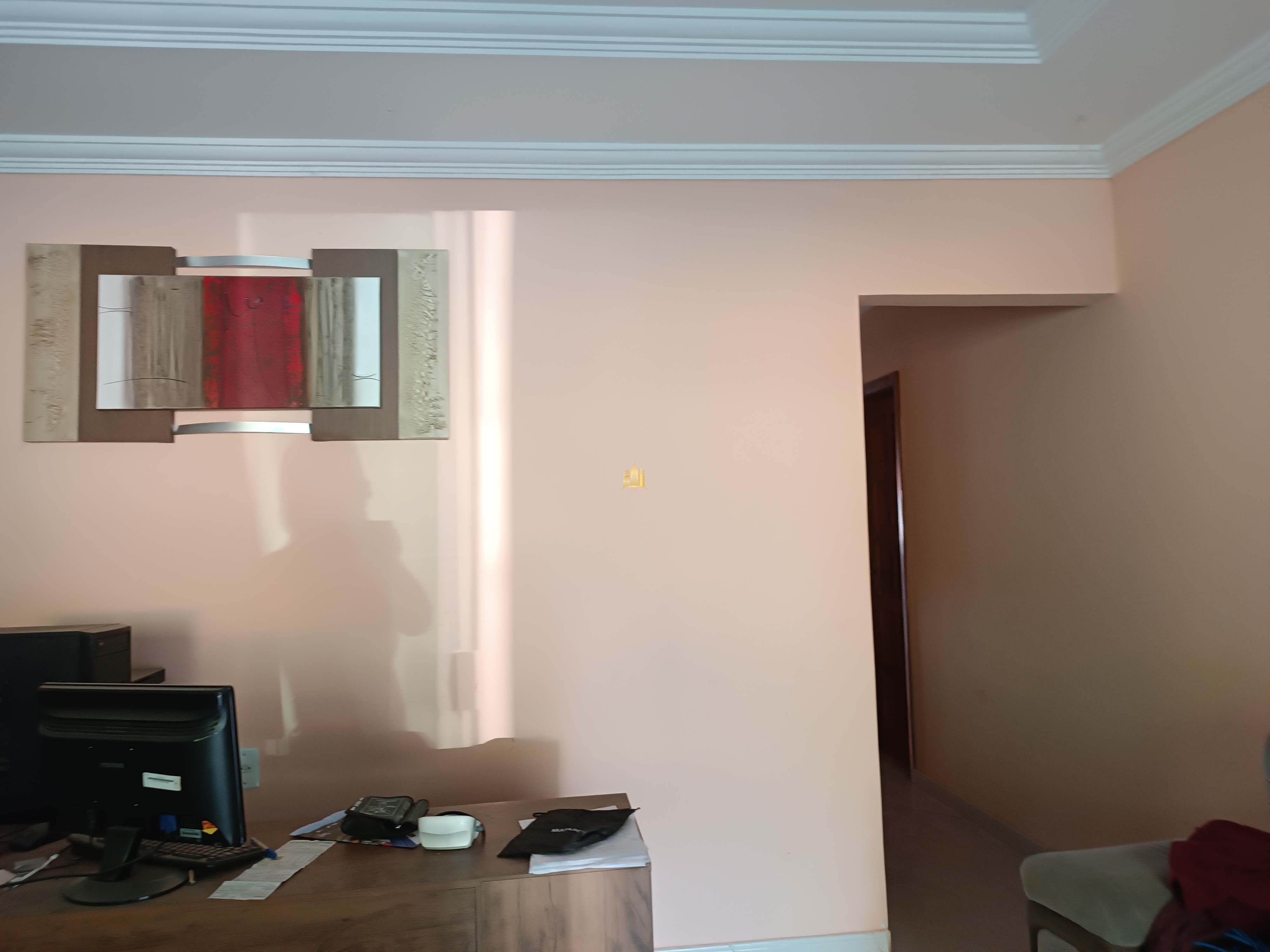 Sítio, 6 quartos, 7000 m² - Foto 37