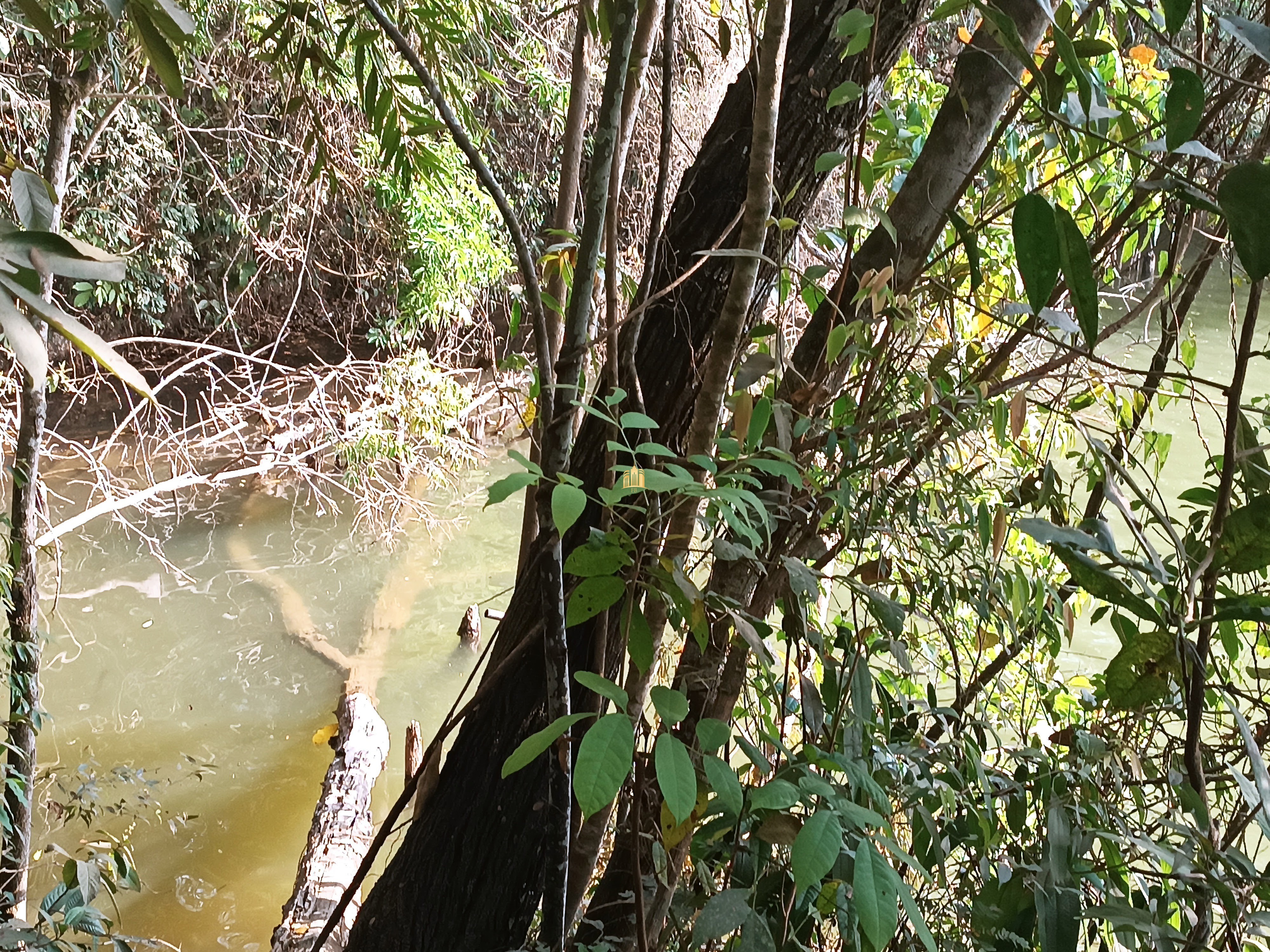 Sítio, 6 quartos, 7000 m² - Foto 90