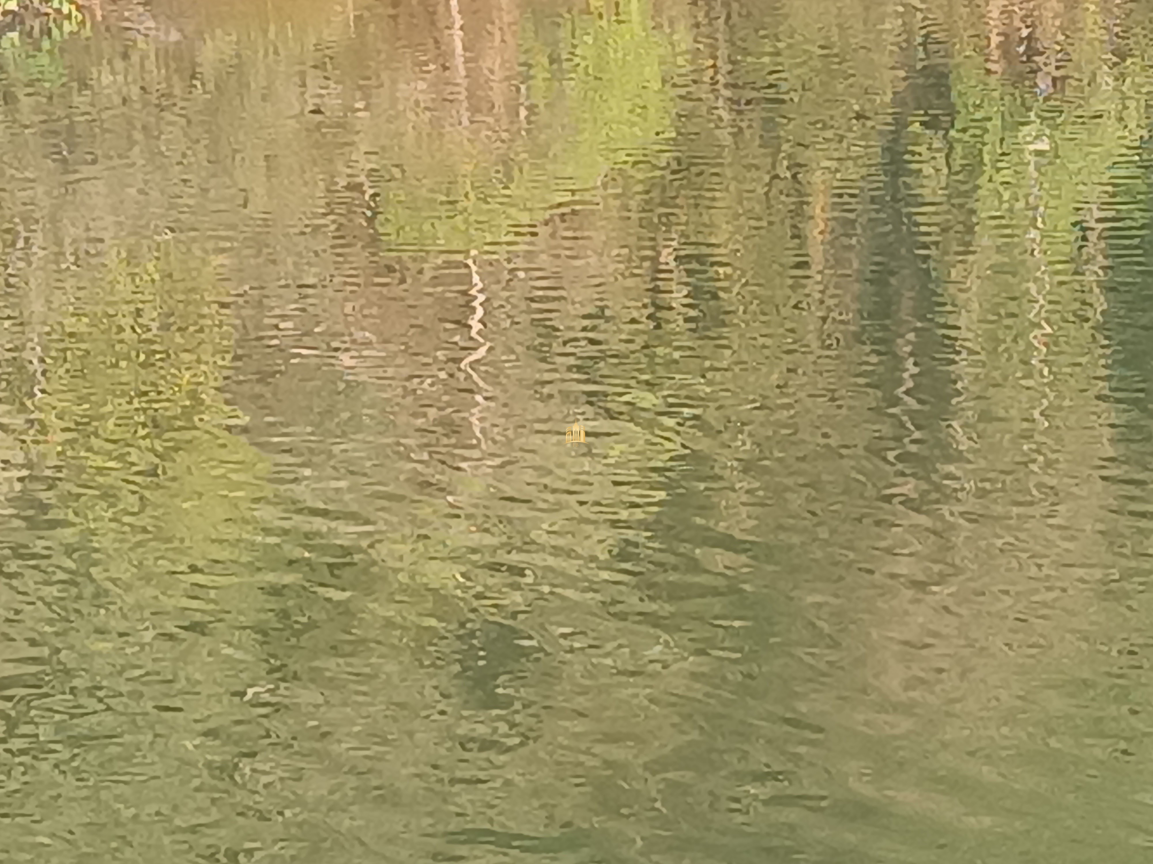 Sítio, 6 quartos, 7000 m² - Foto 4