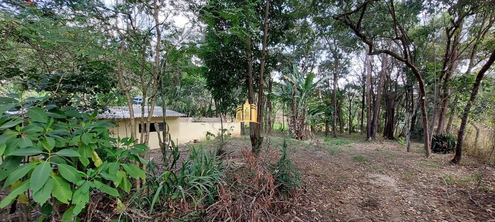 Sítio, 8 quartos, 5635 m² - Foto 4