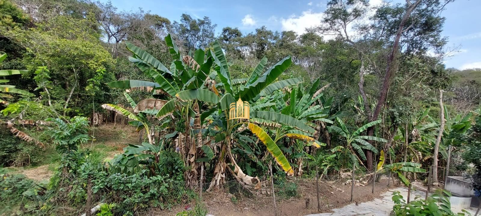 Sítio, 8 quartos, 5635 m² - Foto 7