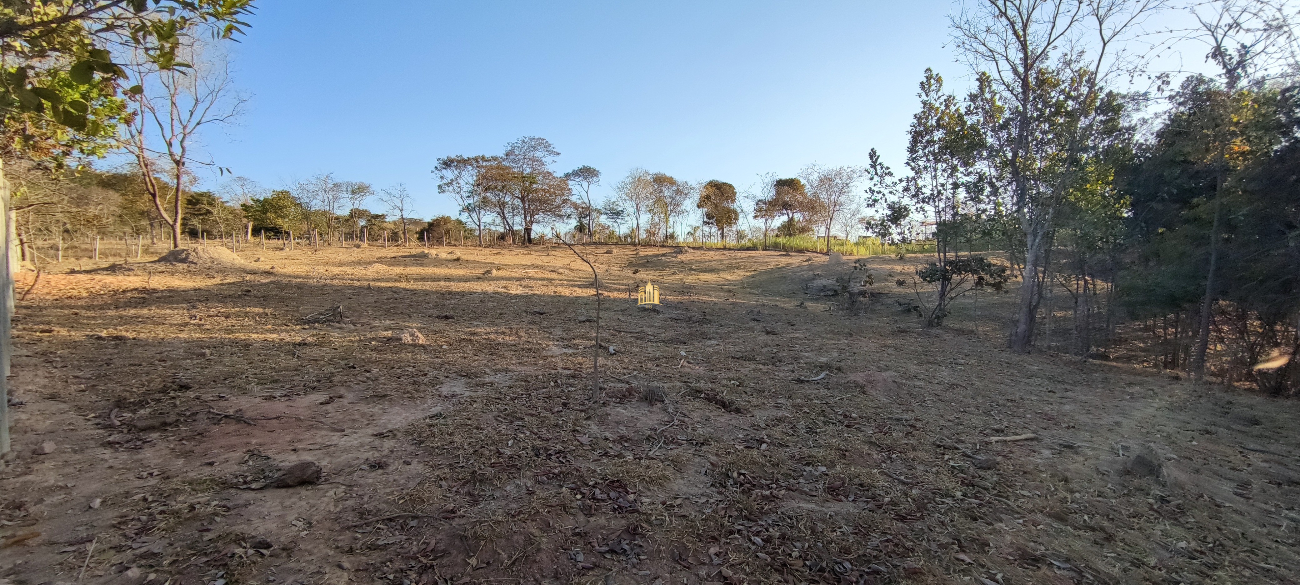 Terreno à venda, 3000m² - Foto 4