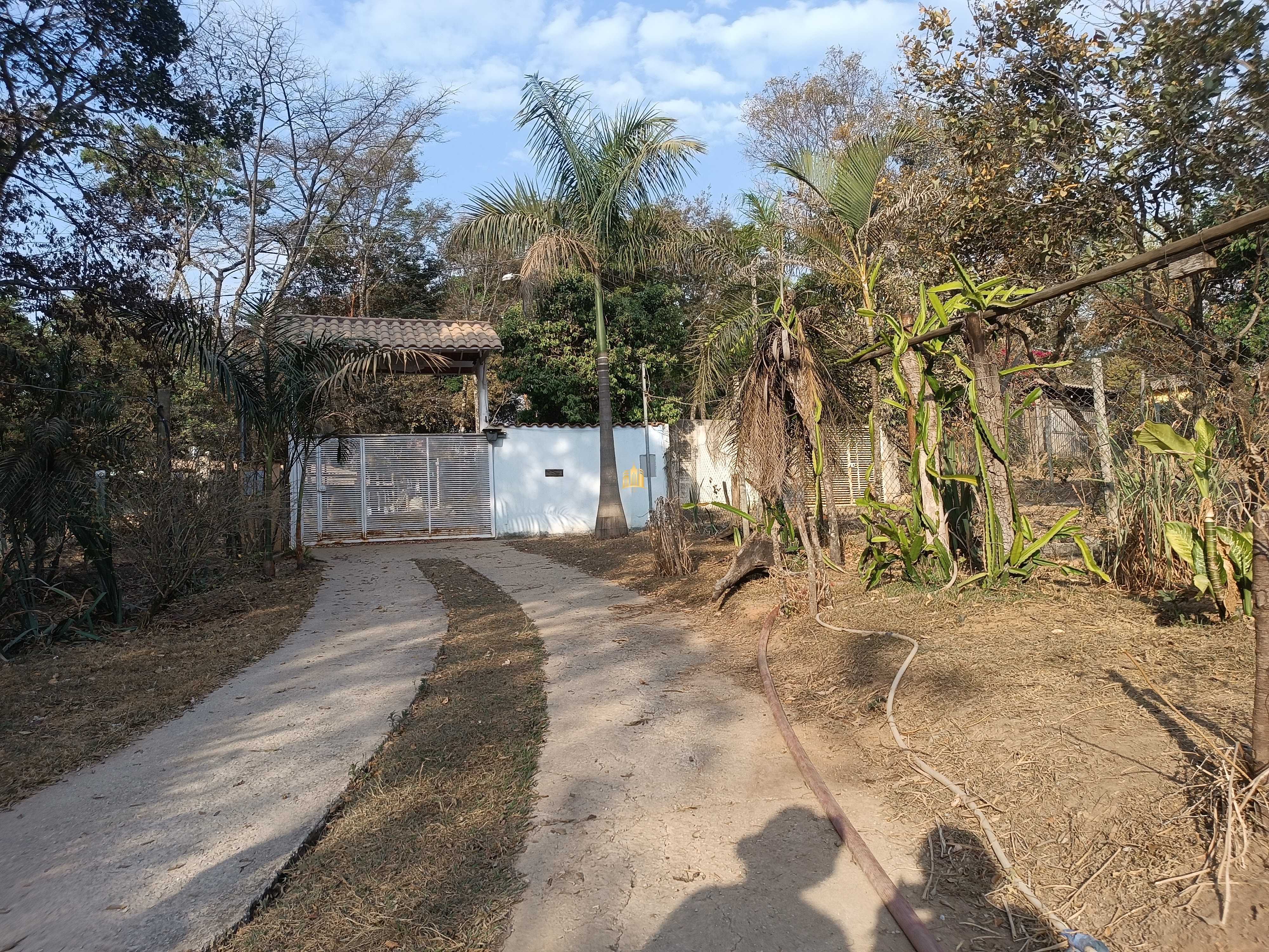 Sítio, 6 quartos, 7000 m² - Foto 14