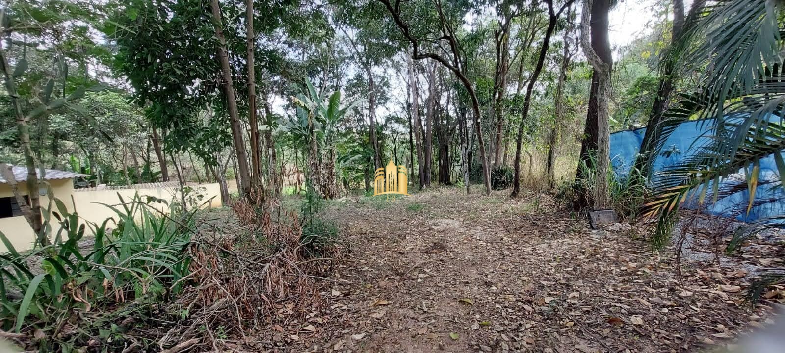 Sítio, 8 quartos, 5635 m² - Foto 9