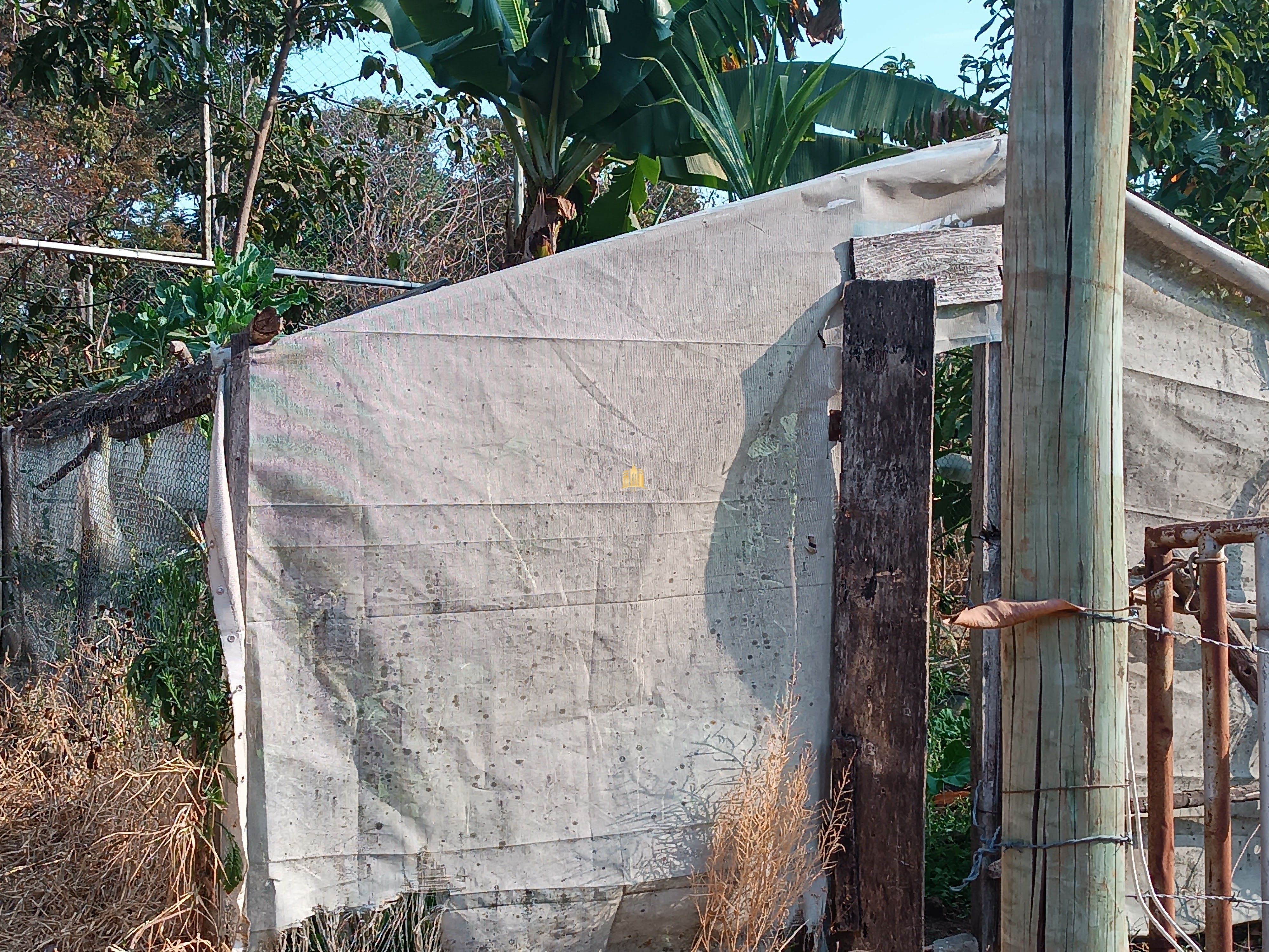 Sítio, 6 quartos, 7000 m² - Foto 72