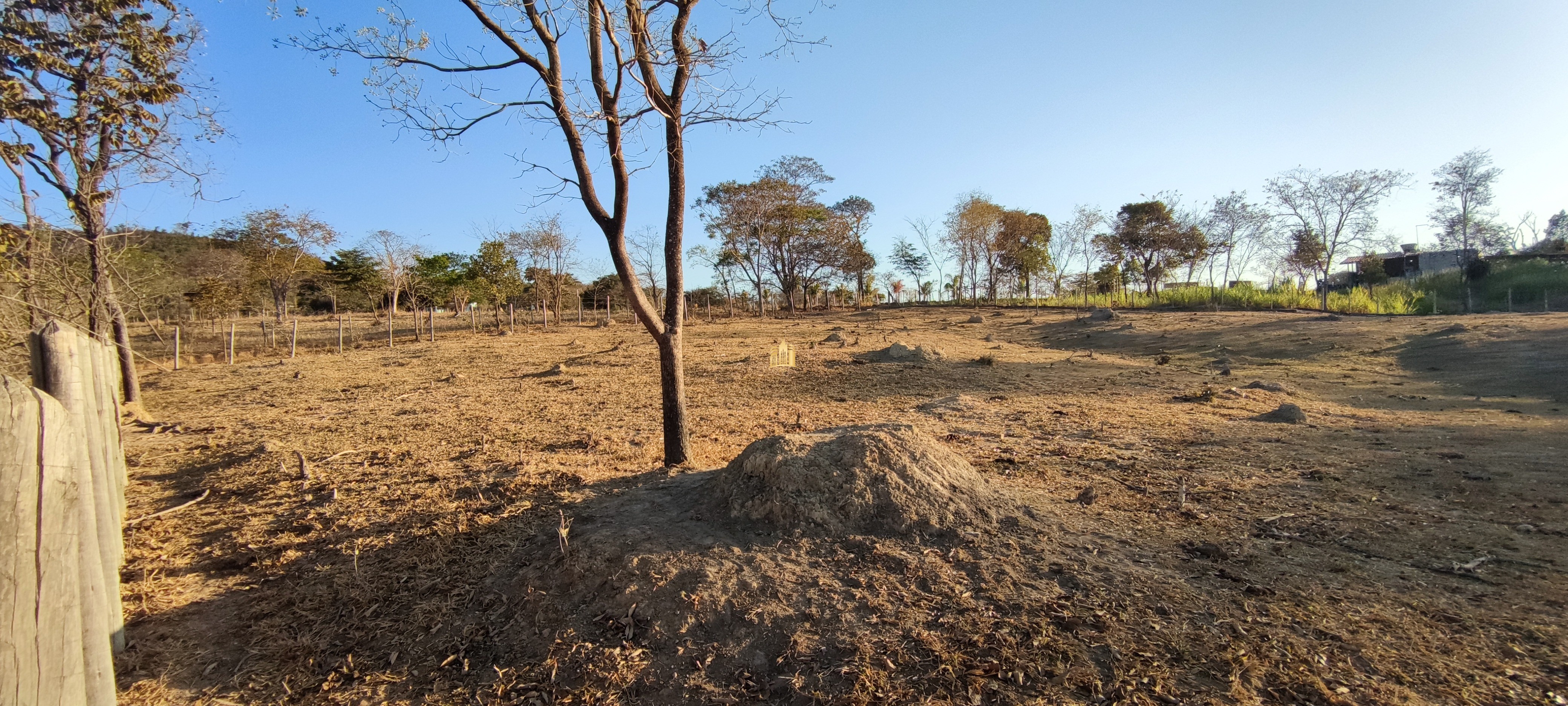 Terreno à venda, 3000m² - Foto 1